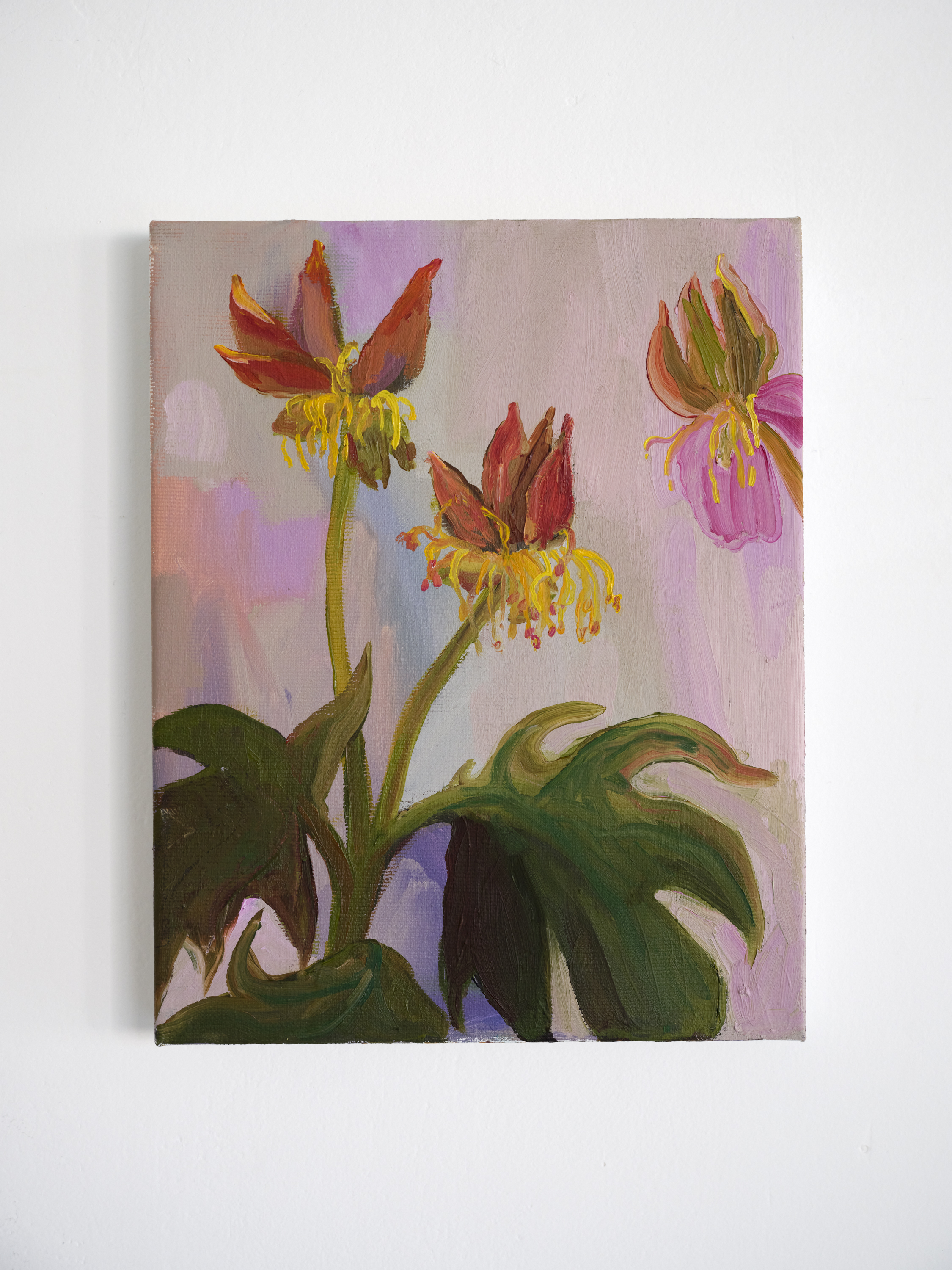 "Peony Seed Pods", 9 x 12 inches, oil on linen, 2025. $300 