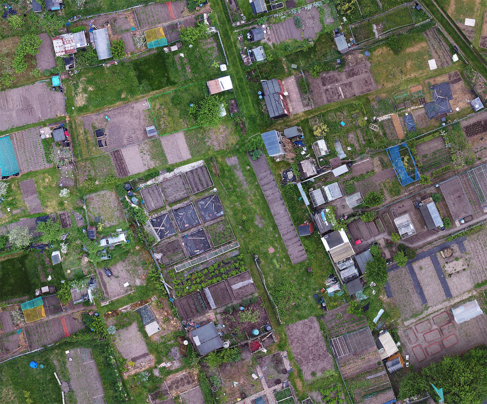 A Lot of Allotments, digital print, 115 x 94 cm [detail]