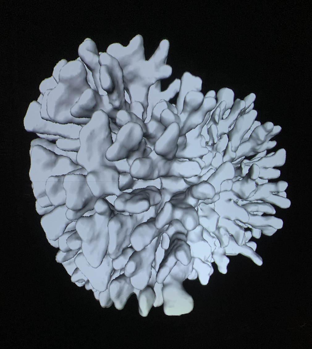 3D render projected onto a curved surface