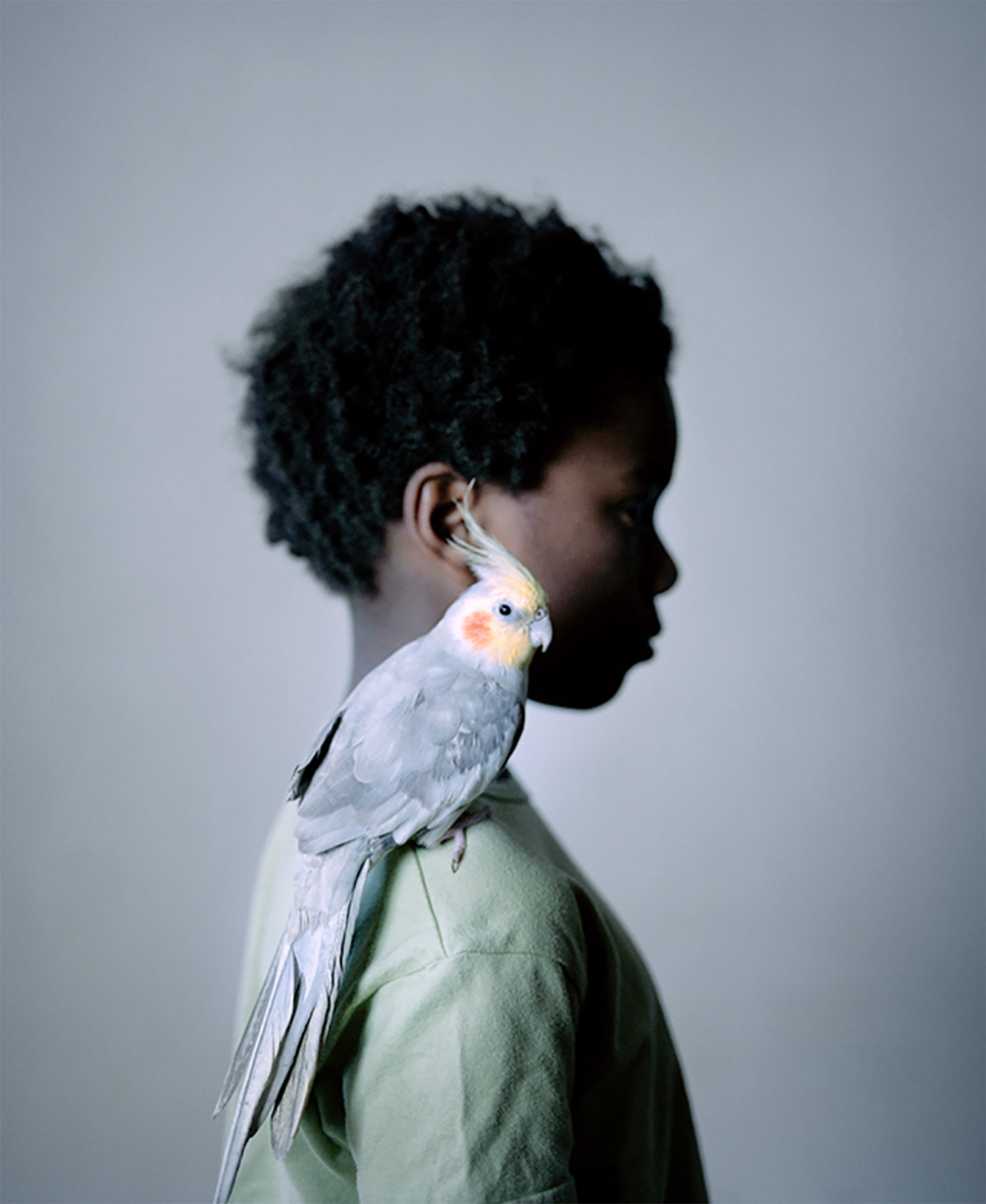 © Tina MERANDON