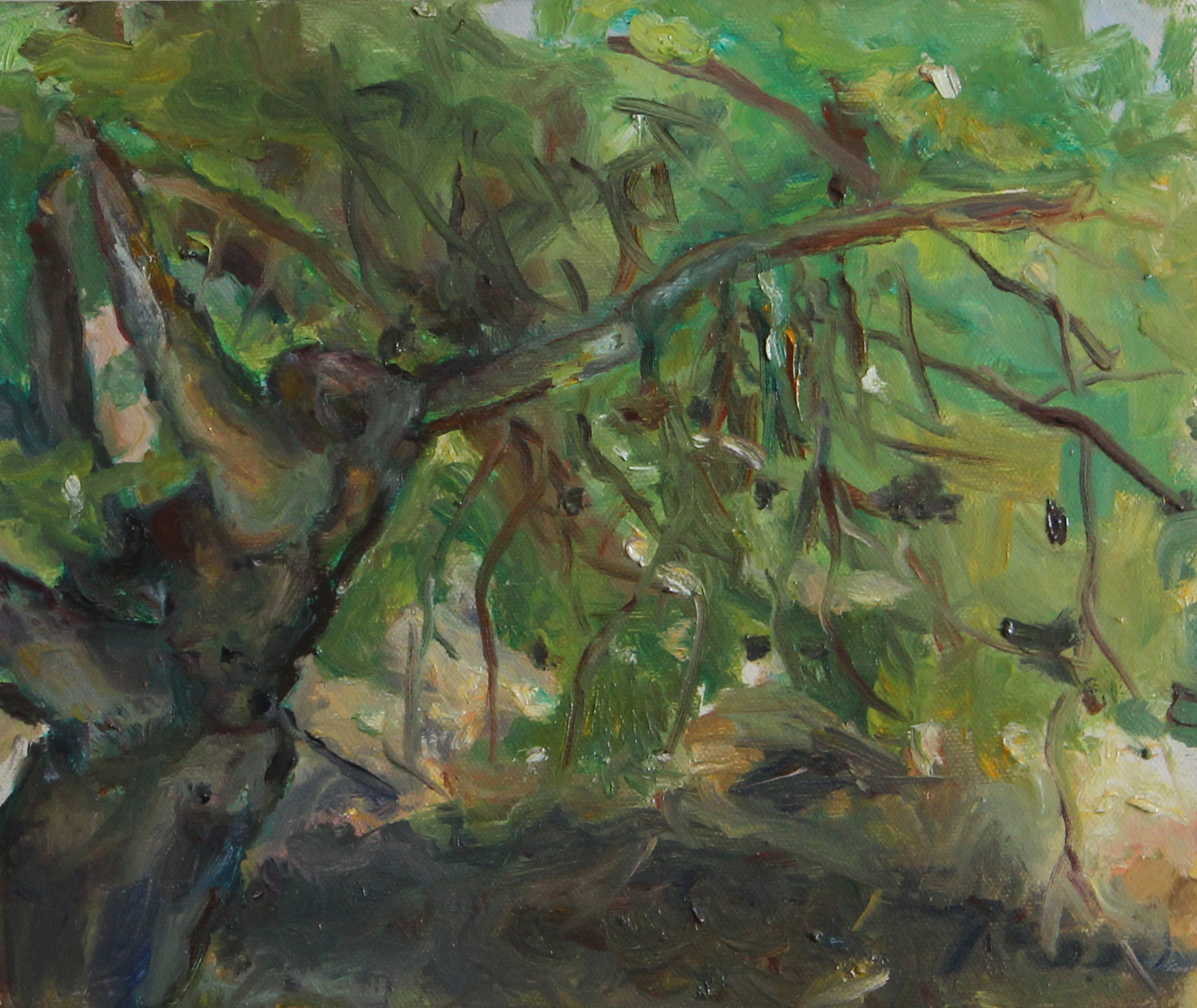 Bajo la higuera - 30x35 cm - óleo sobre tela