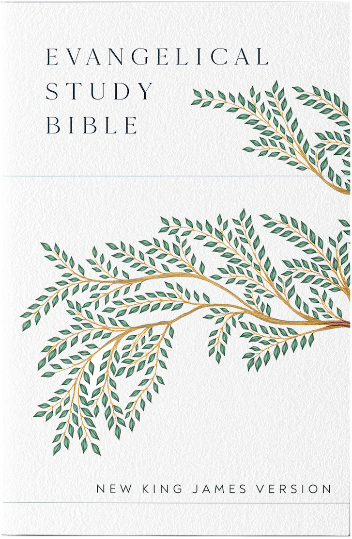 Art Direction: Kate Armstrong