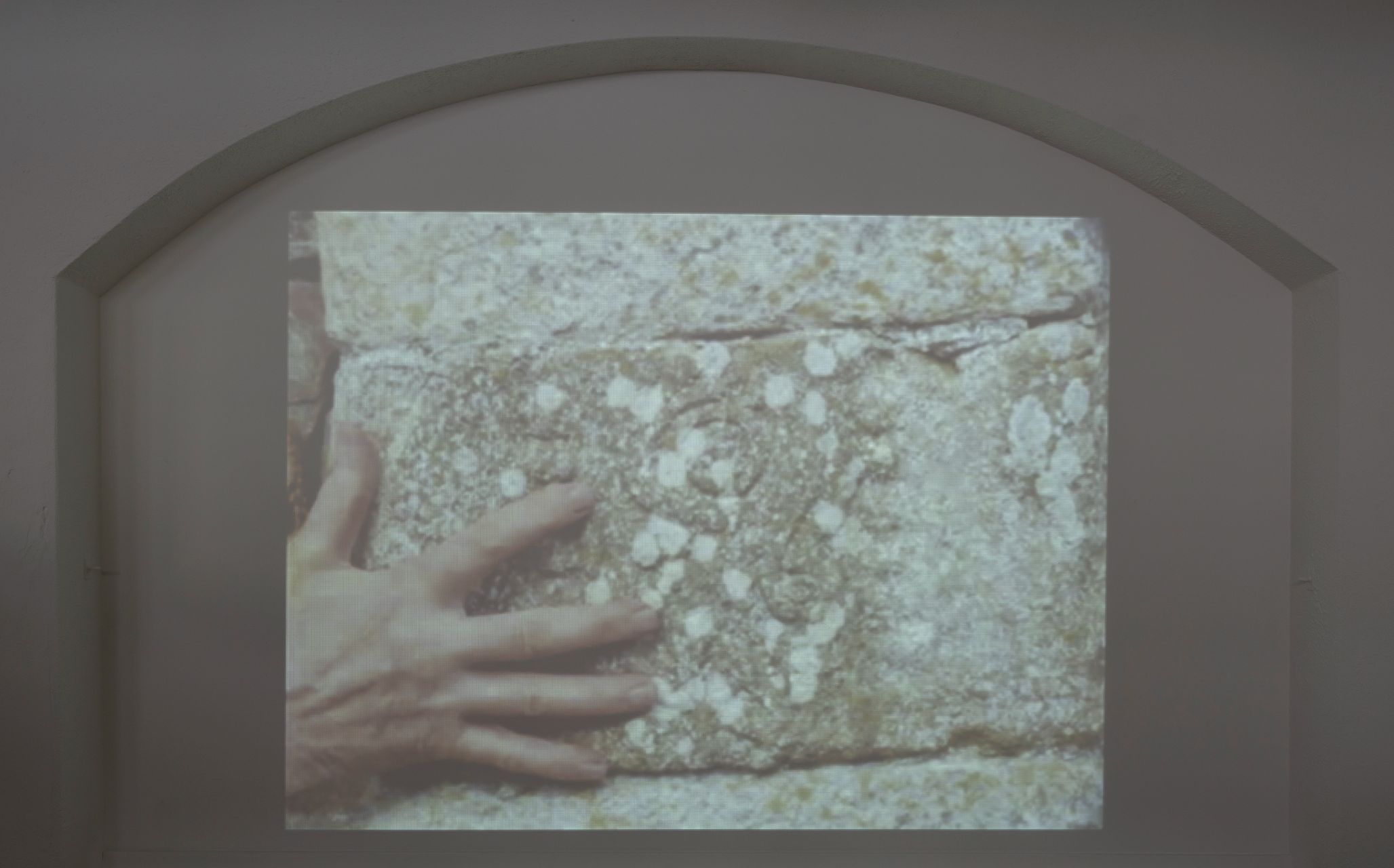Chloe Brenan, the limits of my language, 76–77 John Street Lower, Kilkenny, 2021, installation view. Photography by Brian Cregan.
