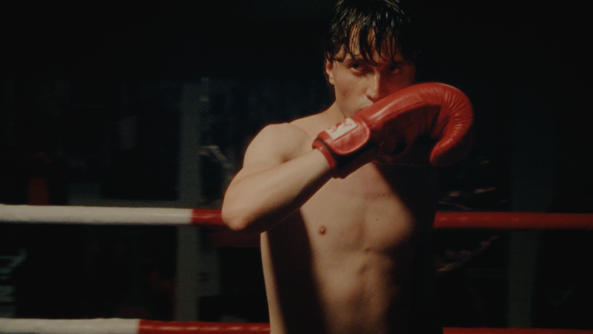 Nick Ward - Shooting Star