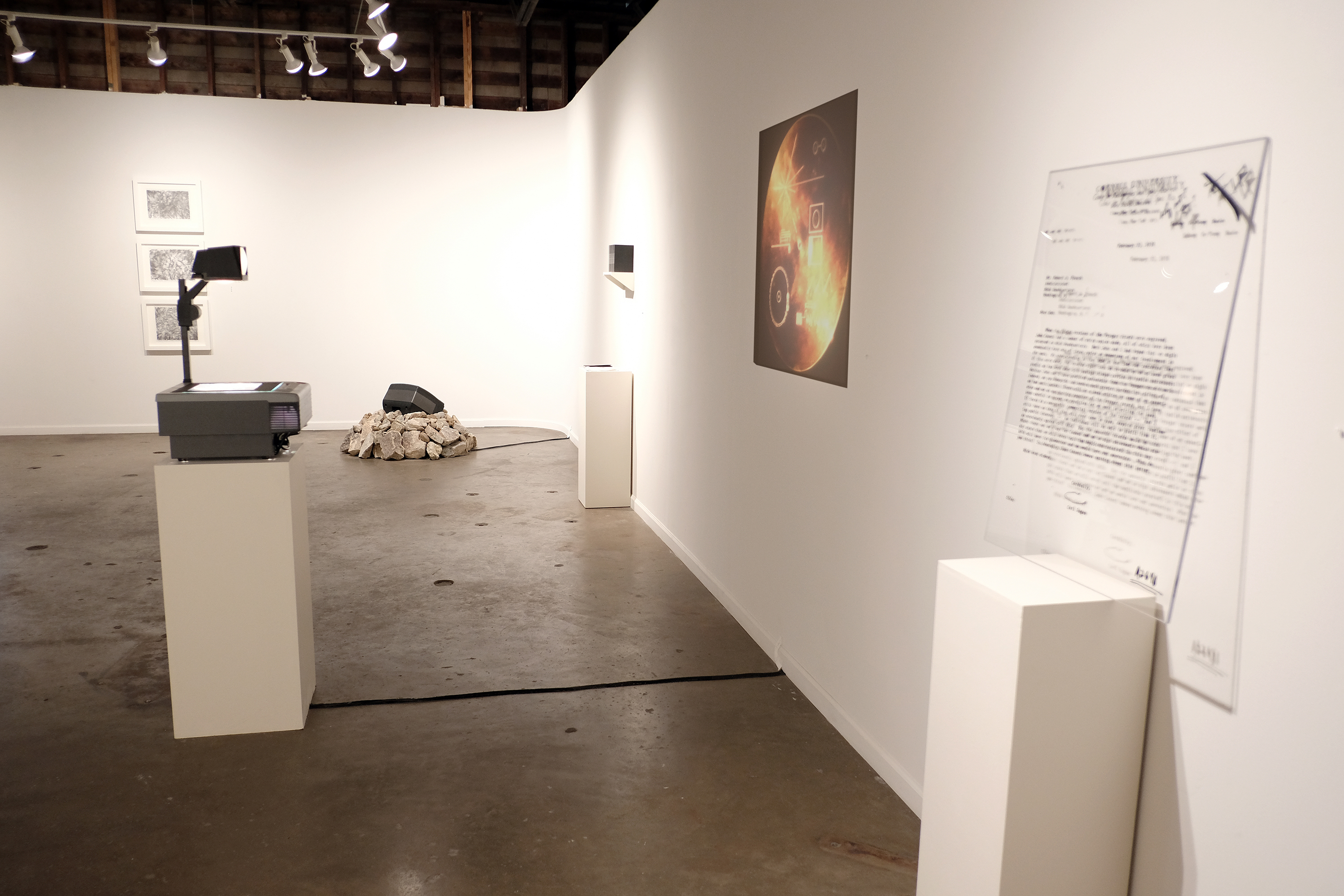 yo soy aquí exhibition installation image. Photo credit: Erica Robert Pallo