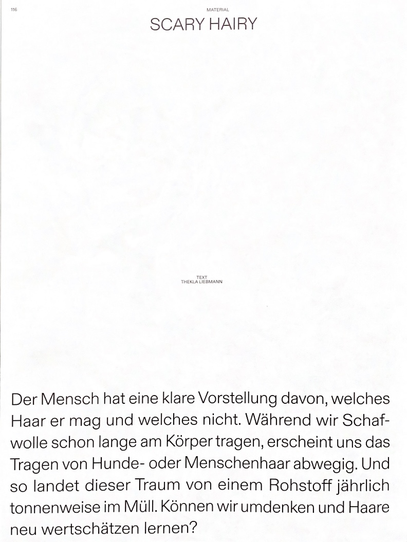 Scary Hairy – Artikel für form 297