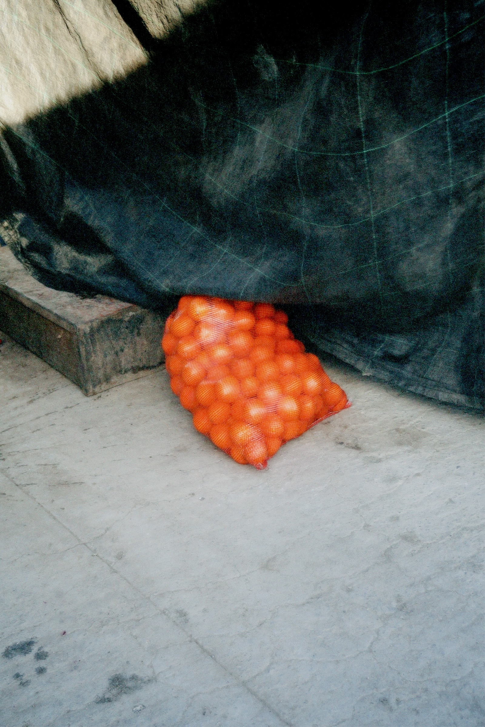 Marrakesh | Photo series | 2025