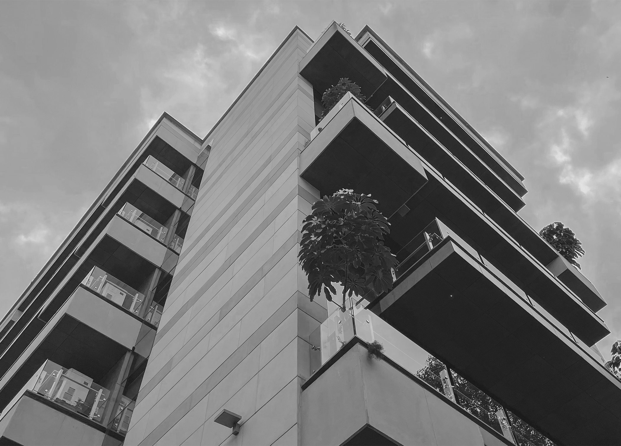 Vaishnavi Meridian