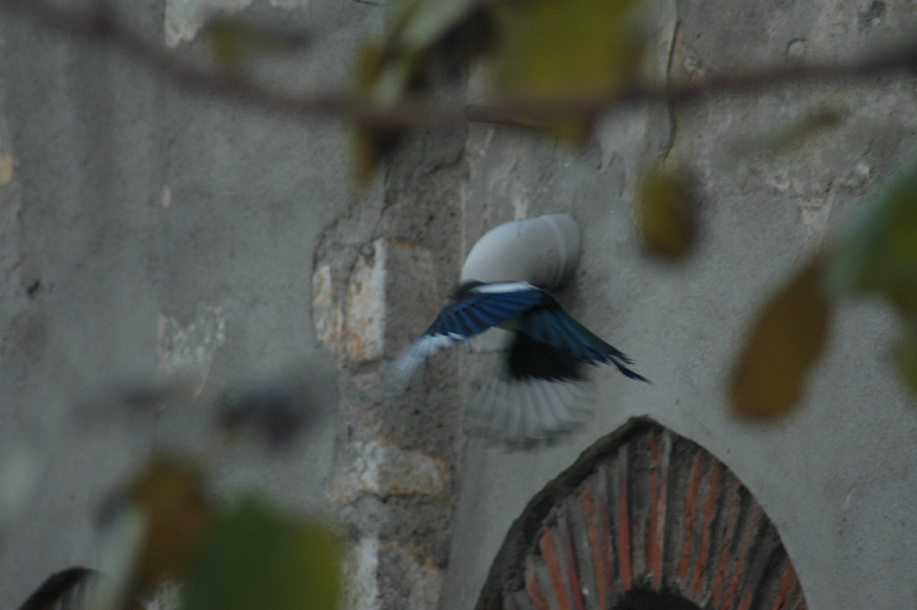14.12.2024, Kışla Binası