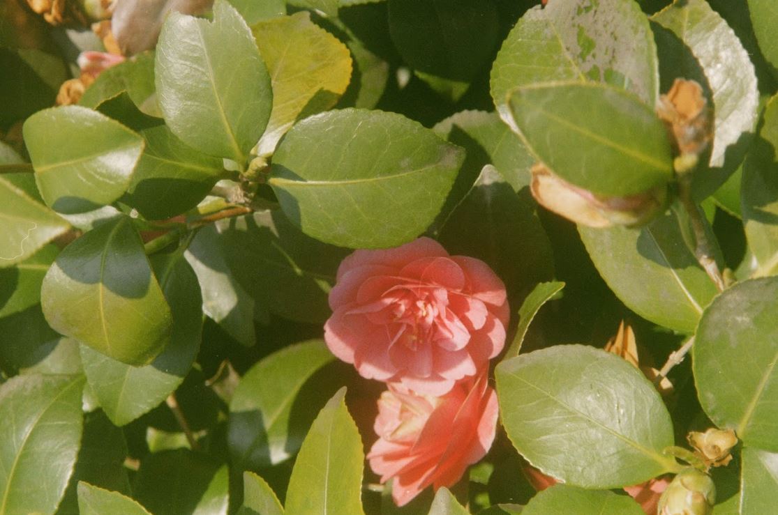 Deal, England.Liangyuqian Zhong/ MA Cities at Central Saint Martins