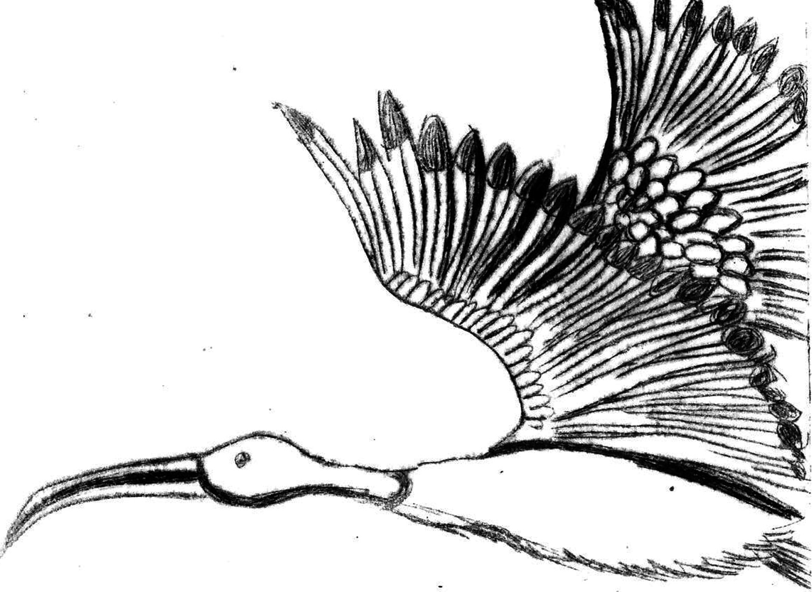 En vole ,gravure pointe sèche, 15x11 cm