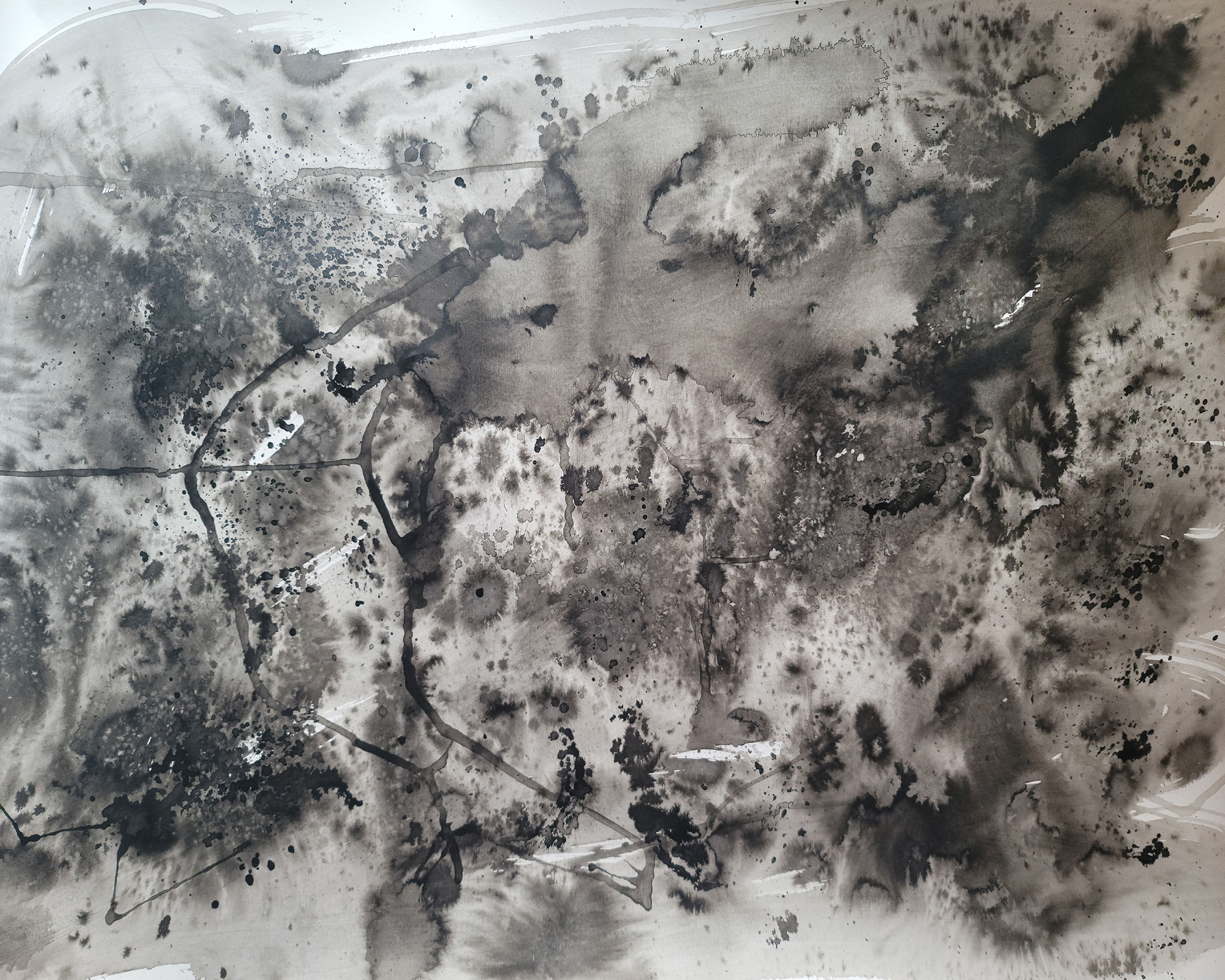 India Ink FreeformIndia ink, heavy paper, 48”x36”, 2023