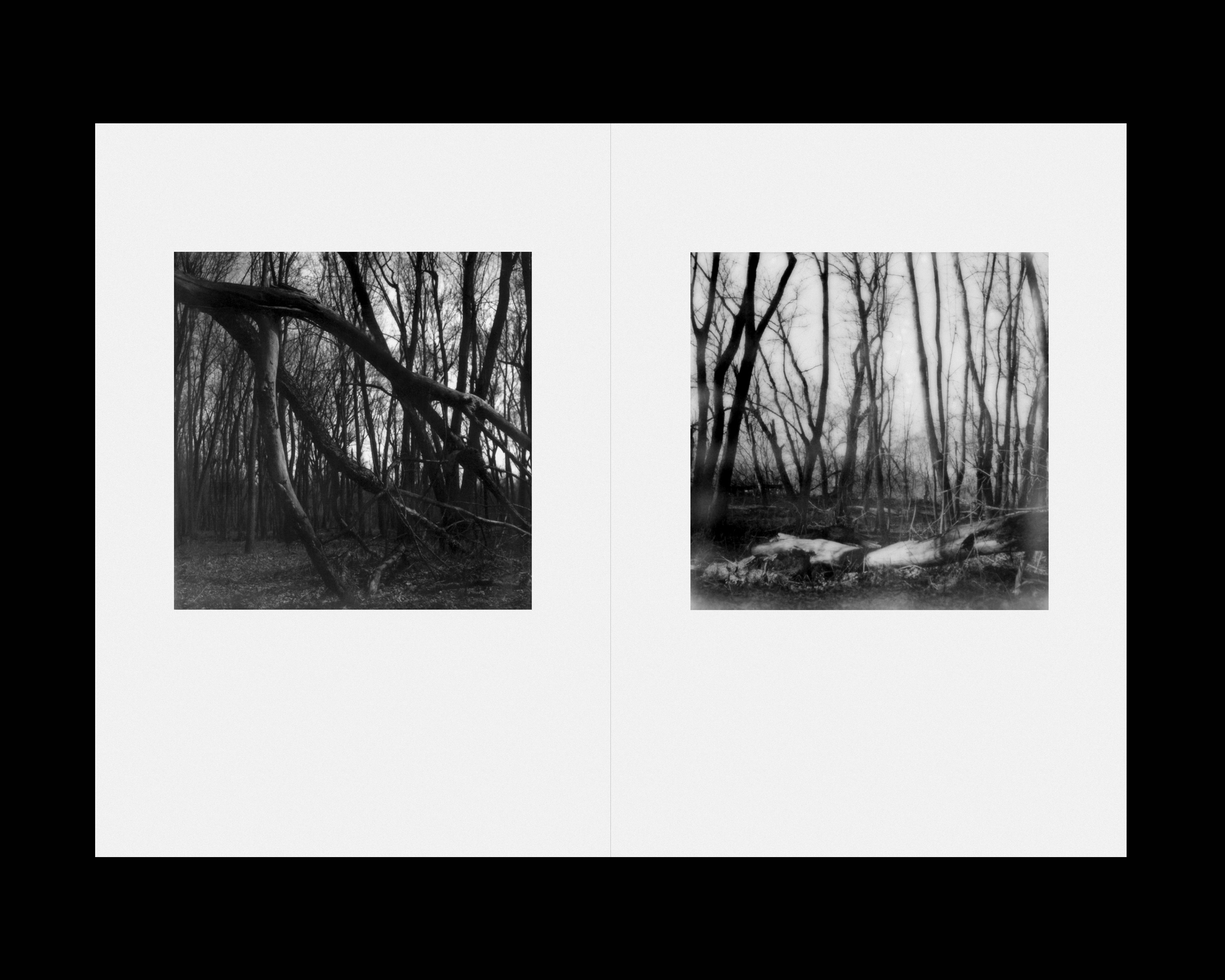 Work by Abbey Meaker. Floodplains ©2022
