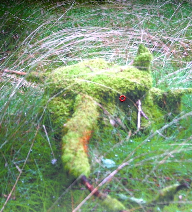 Surpris par la nuit [Chimère], 2009broderie sur photographie, 40 x 40 cm