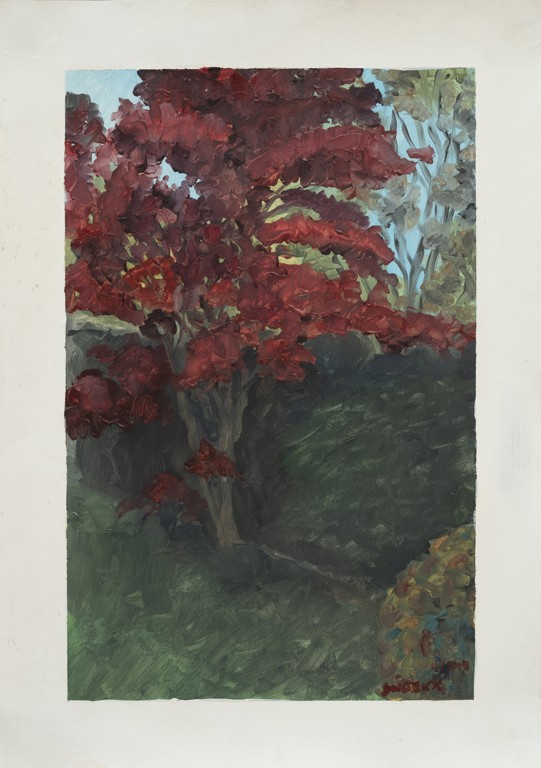 "Red acre study 02" - Oil On Paper 34cm x 23cm