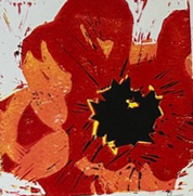 "Poppy"; Angela Modzelewski