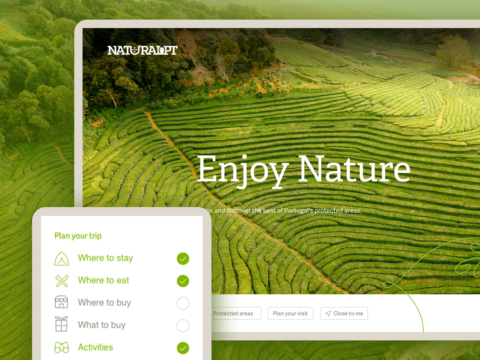 ● NaturalPT Website