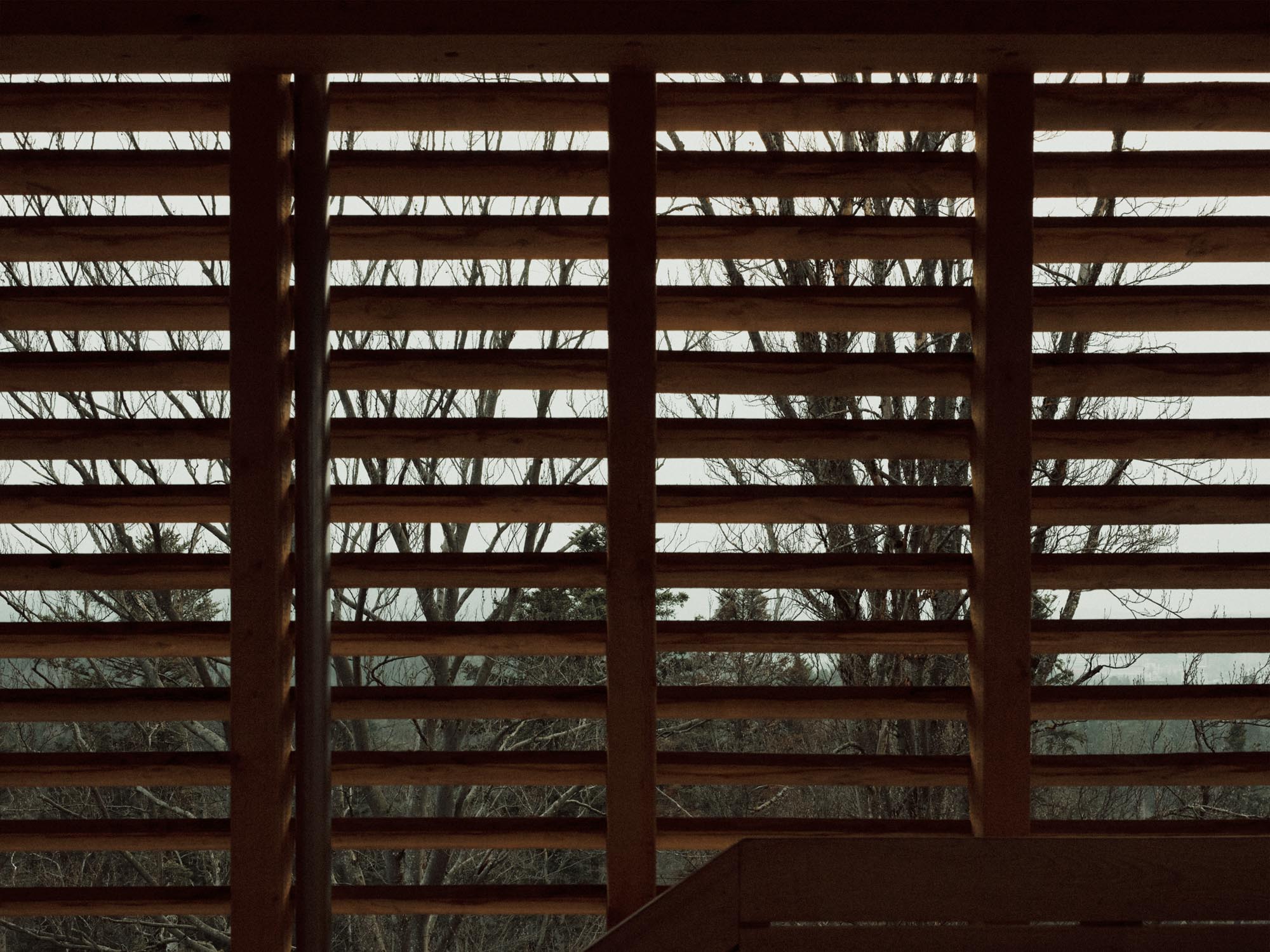 Luna Productions, Aussichtsturm Hardwald, 2023