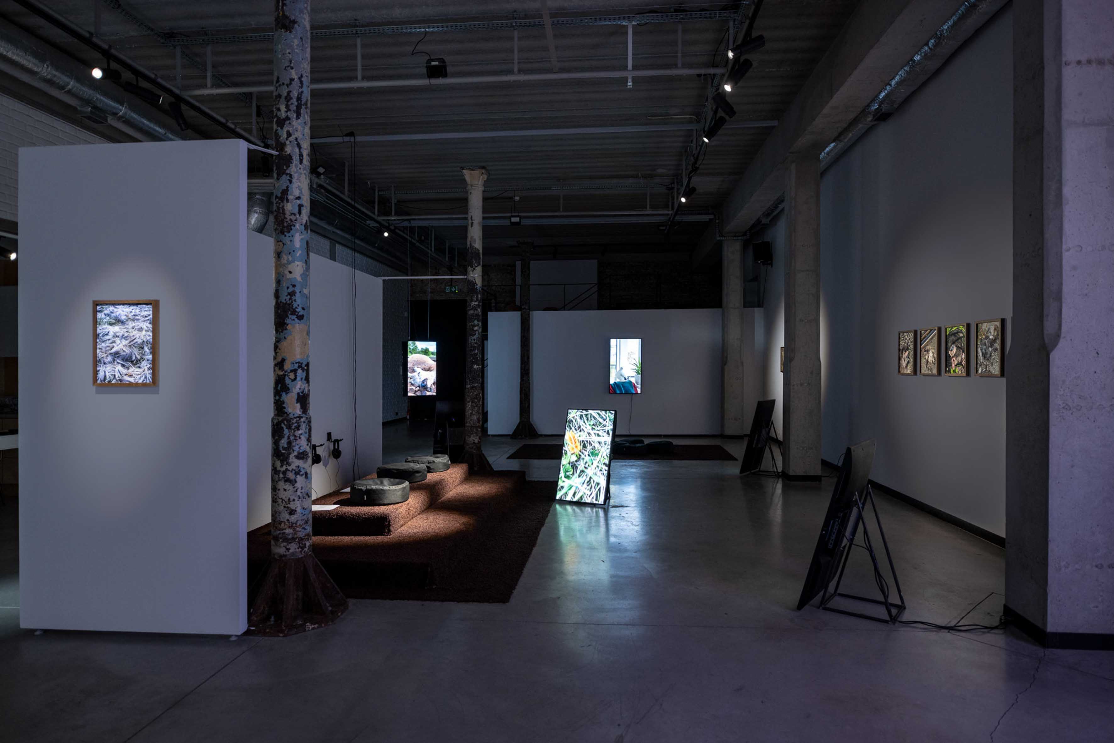 WANDERING AMONG OTHER REALIZATIONS OF LIFE by PIOTR BLAJERSKI at 66P SUBJECTIVE INSTITUTION OF CULTURE [from 20240321 to 20240504][Photo: Małgorzata Kujda]