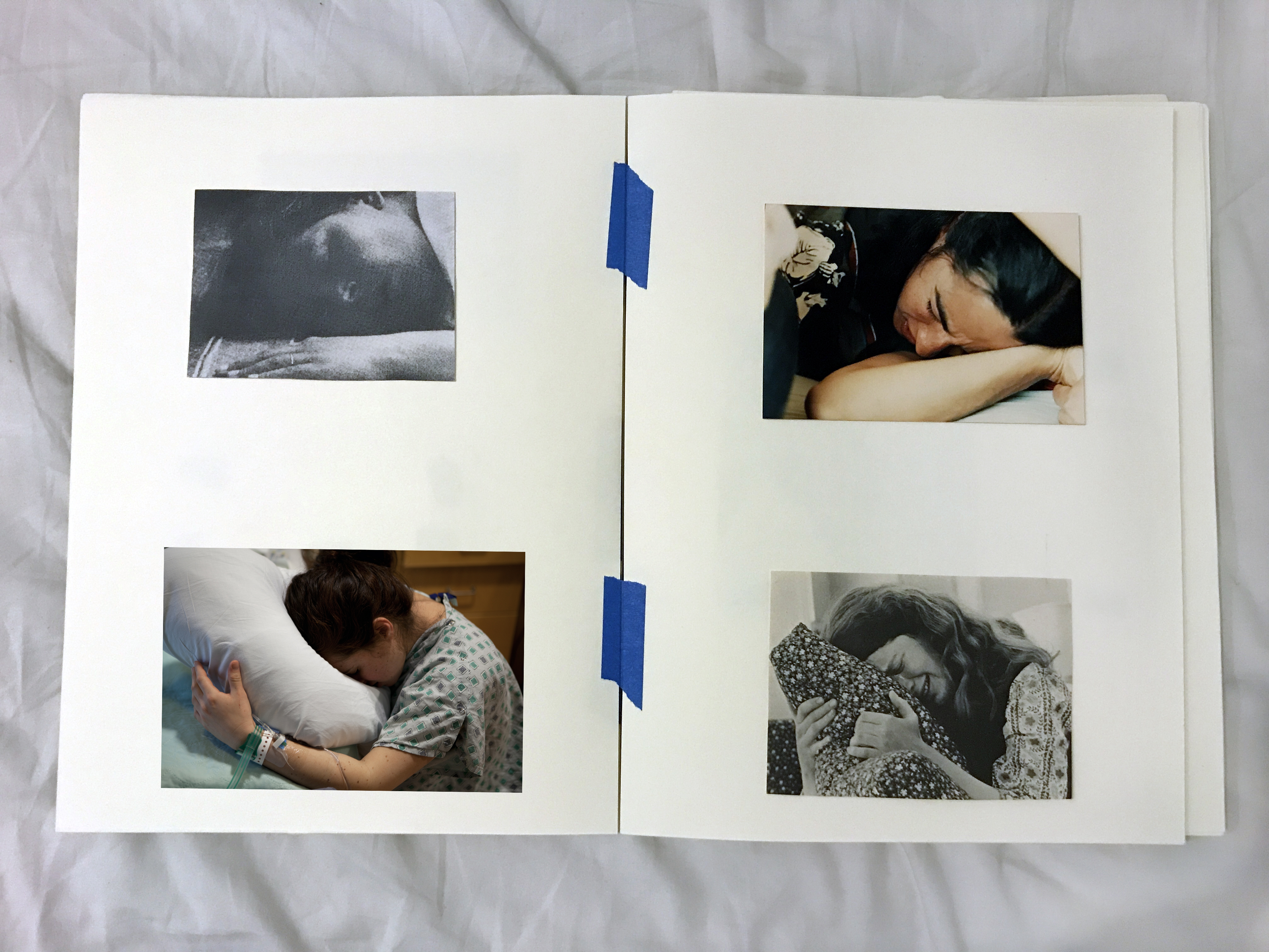 Original Artist's Book (Reference)