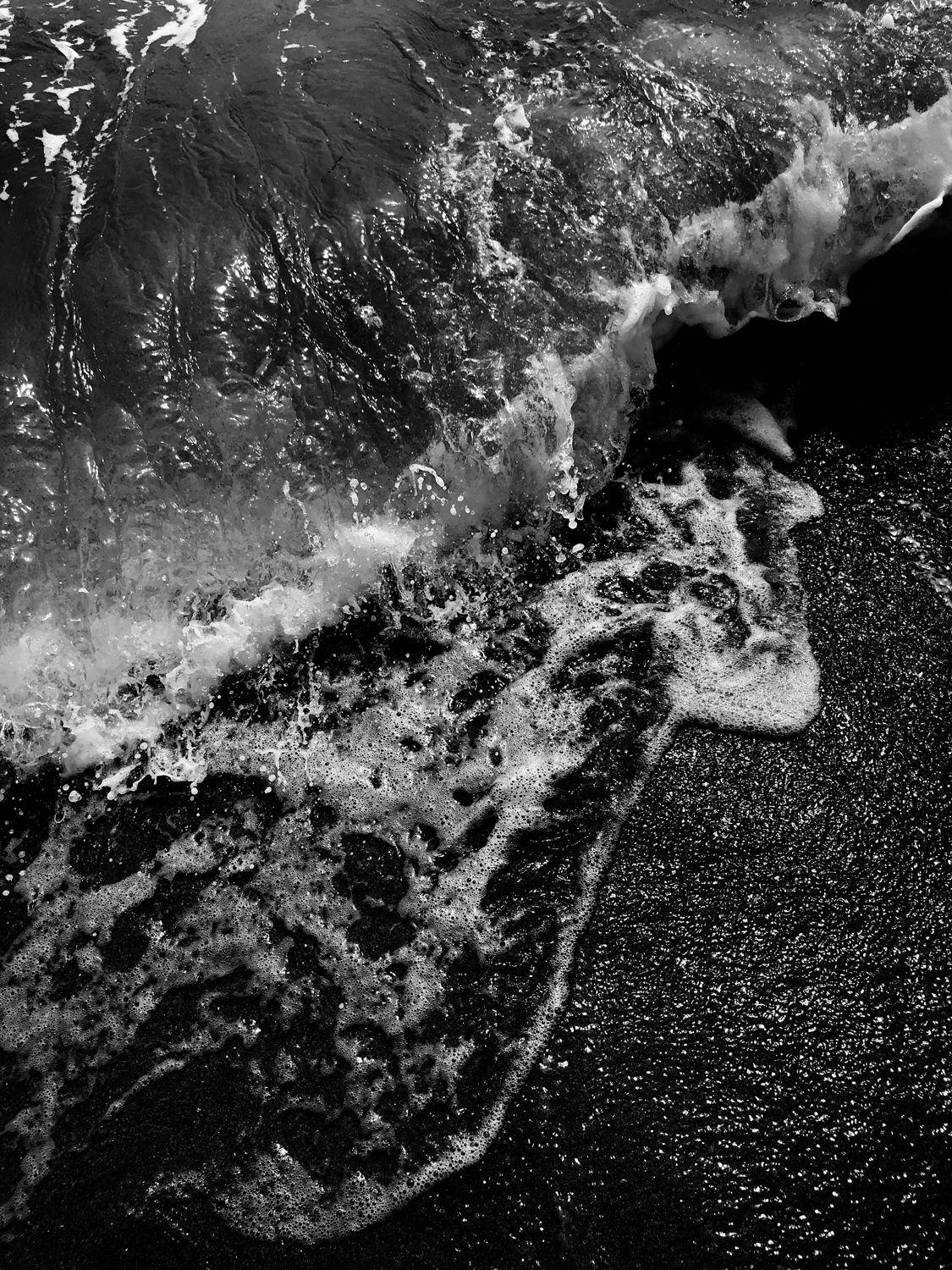 N°9 Secret d'Hypoccampe