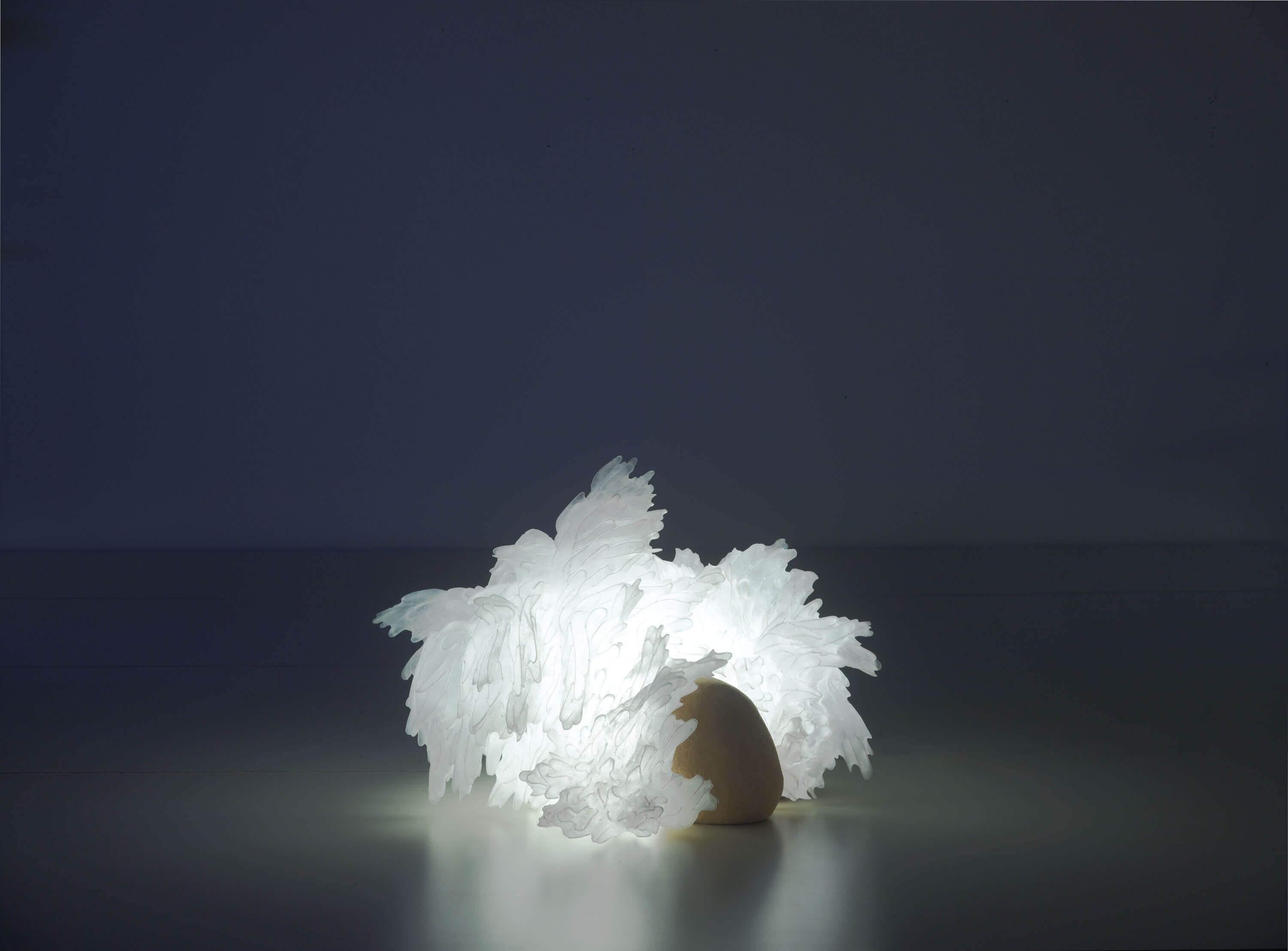 Memory, July 2009 / 50x73x56cm, 20x29x22"