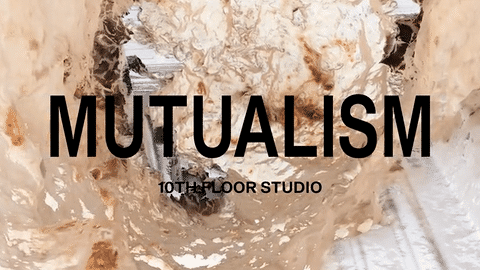 MUTUALISM  2021 sculpture mycelium video poetry
