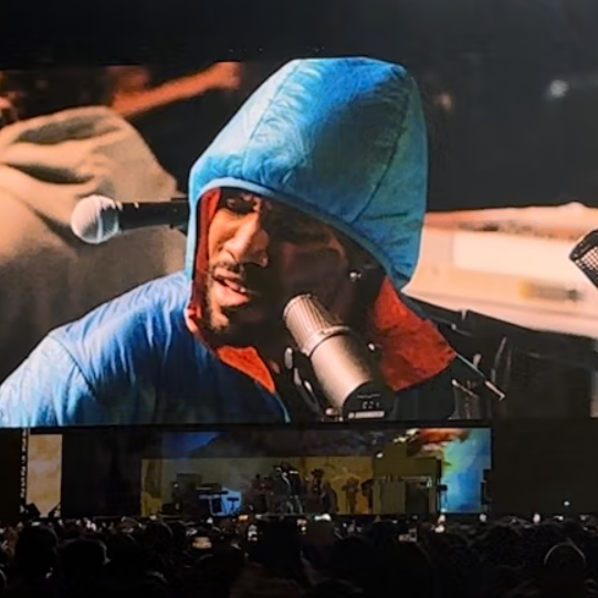 What you didn't see The Truth about Frank Ocean’s Coachella