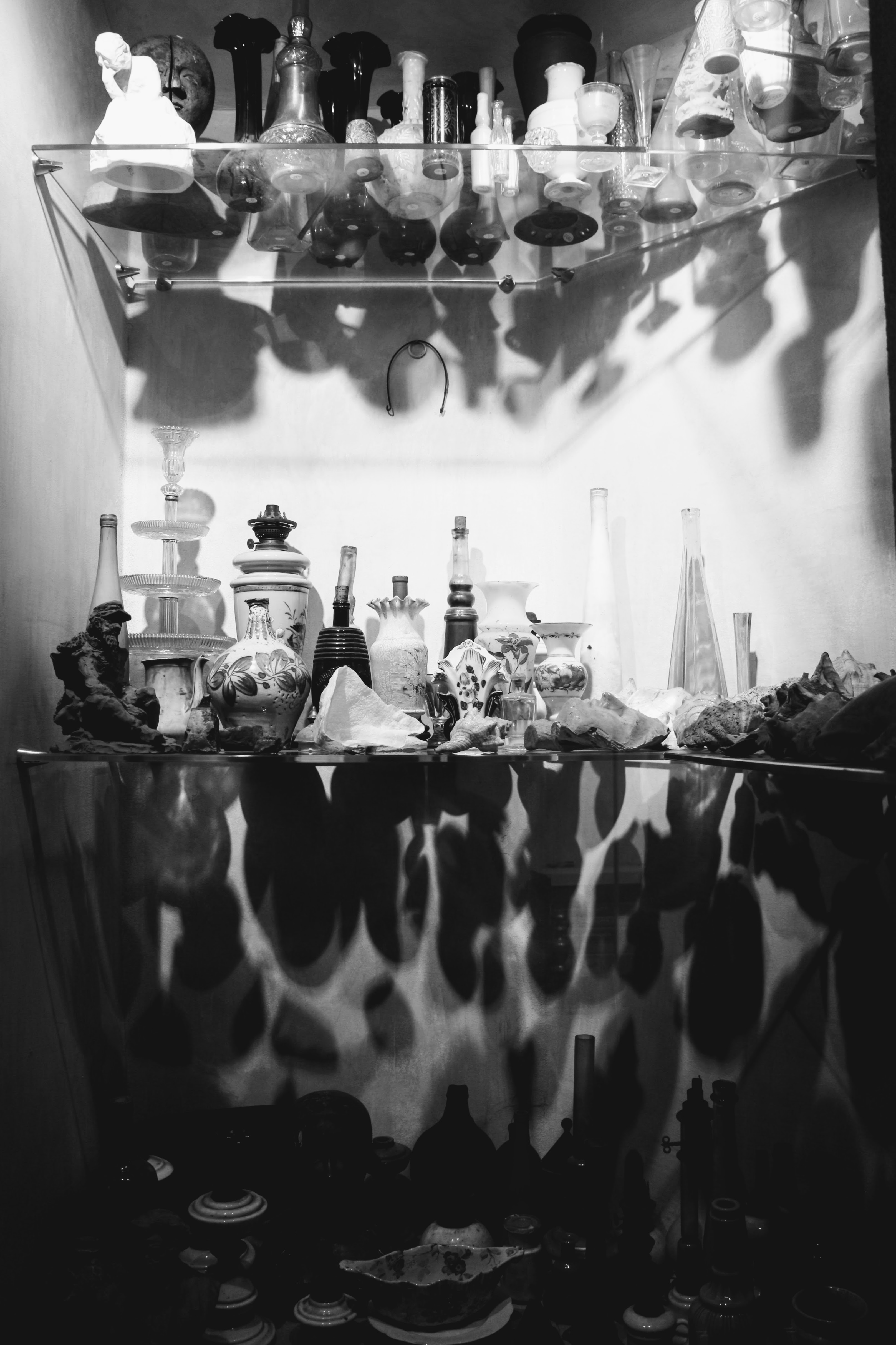 Casa Morandi, Bologna, 21-1-17