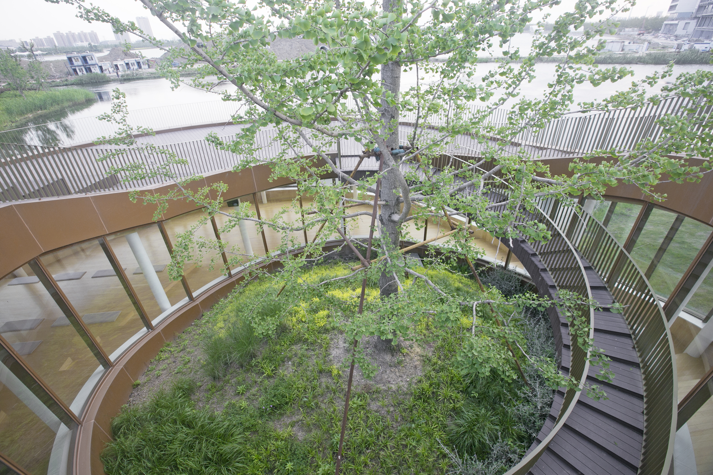 This patio hosts the pavilion&rsquo;s very own garden, solves the routing in the building and the access to the roof. 
