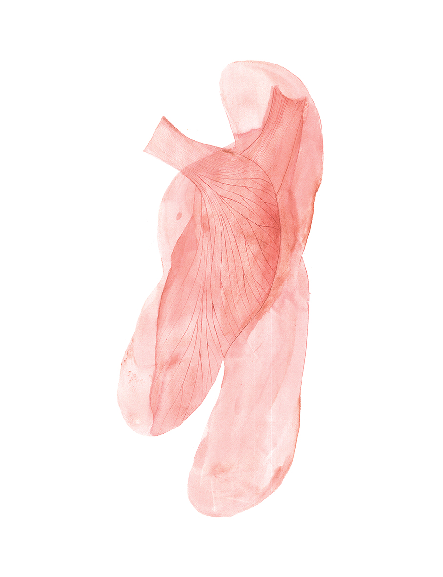 Sketch; #19, 2021, Acrylic Ink on Paper, 76x56 cm.