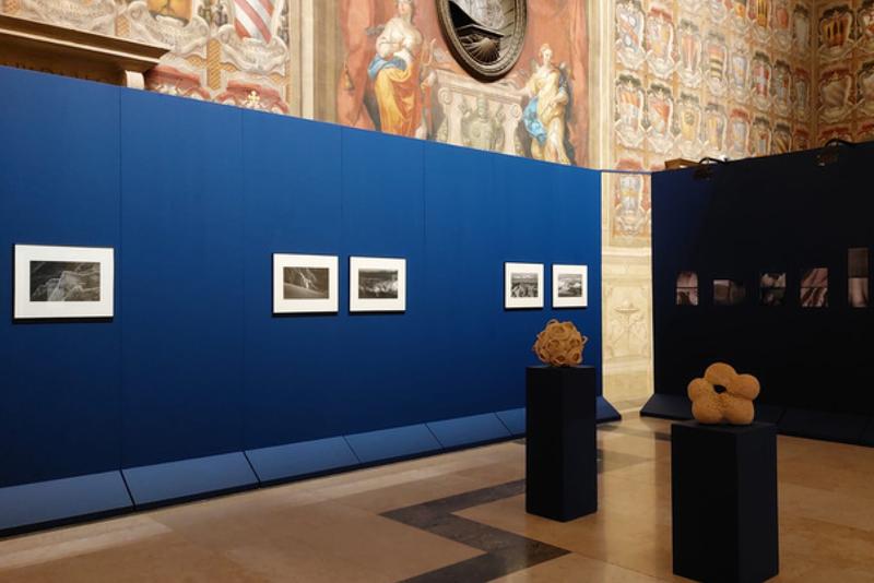 Azzurro fragile. I calanchi delle azzurre nell'arte contemporanea | Mostra collettiva con Barbara De Ponti