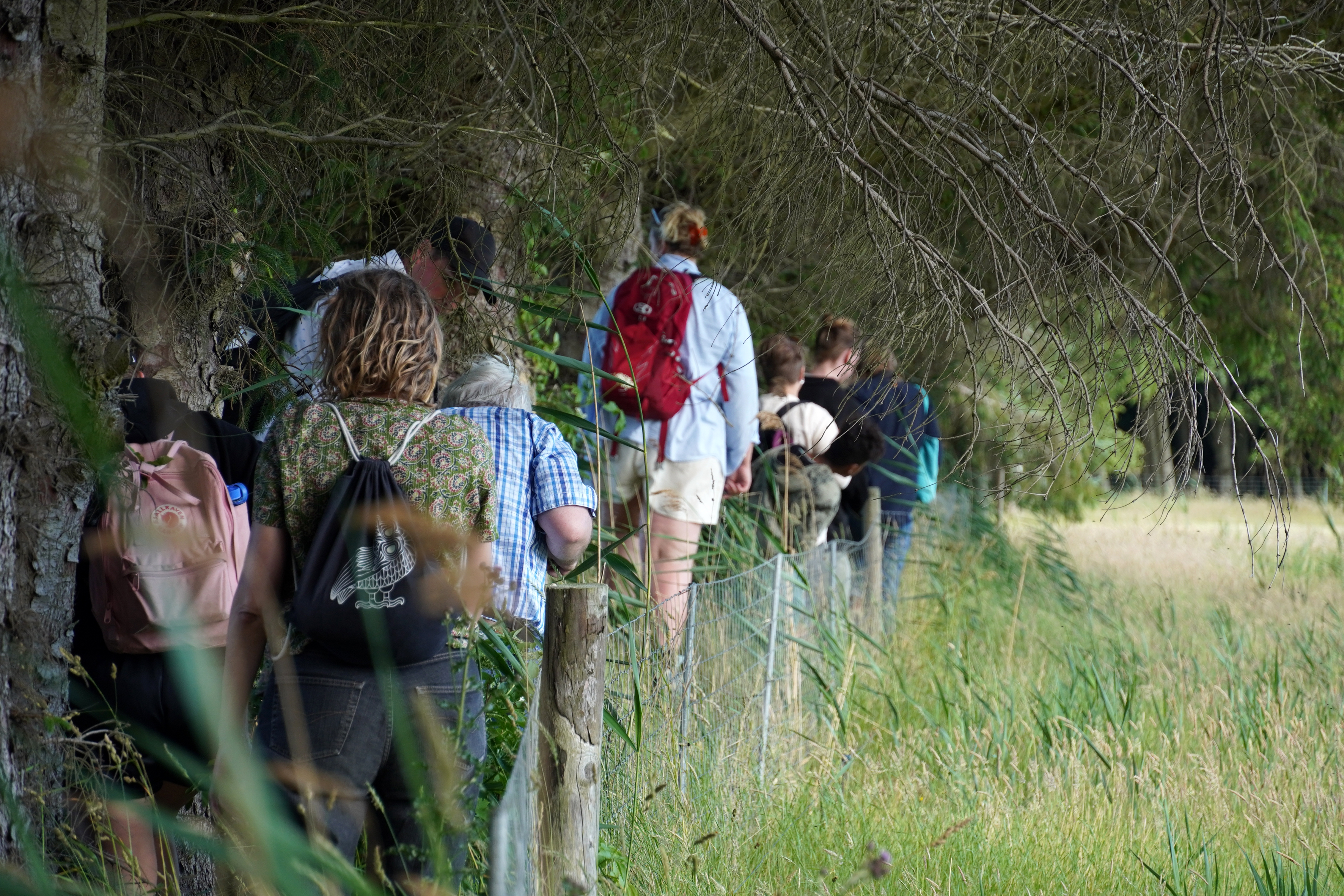 Documentation of "7 Walks: (Asger Jorn)" as part of the Summer School "Learning Through the Soles of our Feet" by Vermeir & Heiremans, Læsø, 2022 (photocredit: Rikke Ehlers Nilsson)