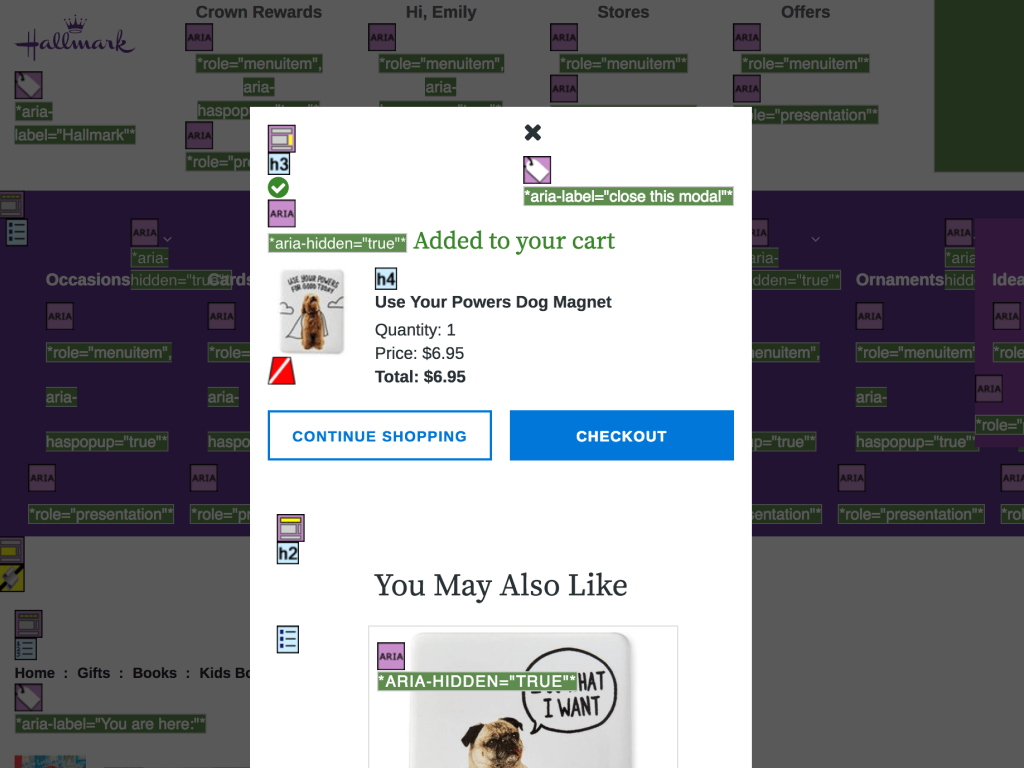 Accessibility strategy, inclusive design, compliance alignment, cross-functional QA