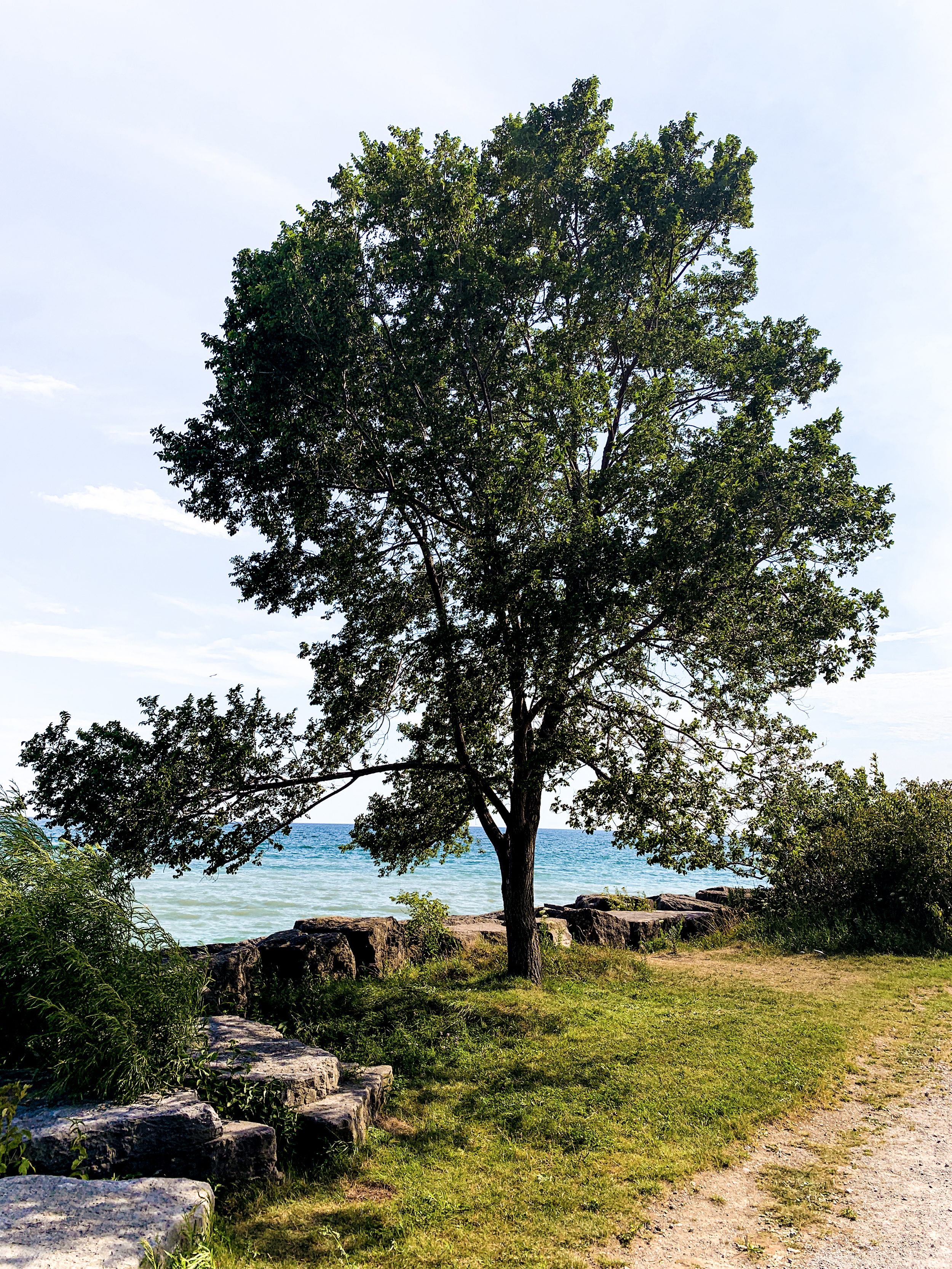 Scarborough Bluffs Park