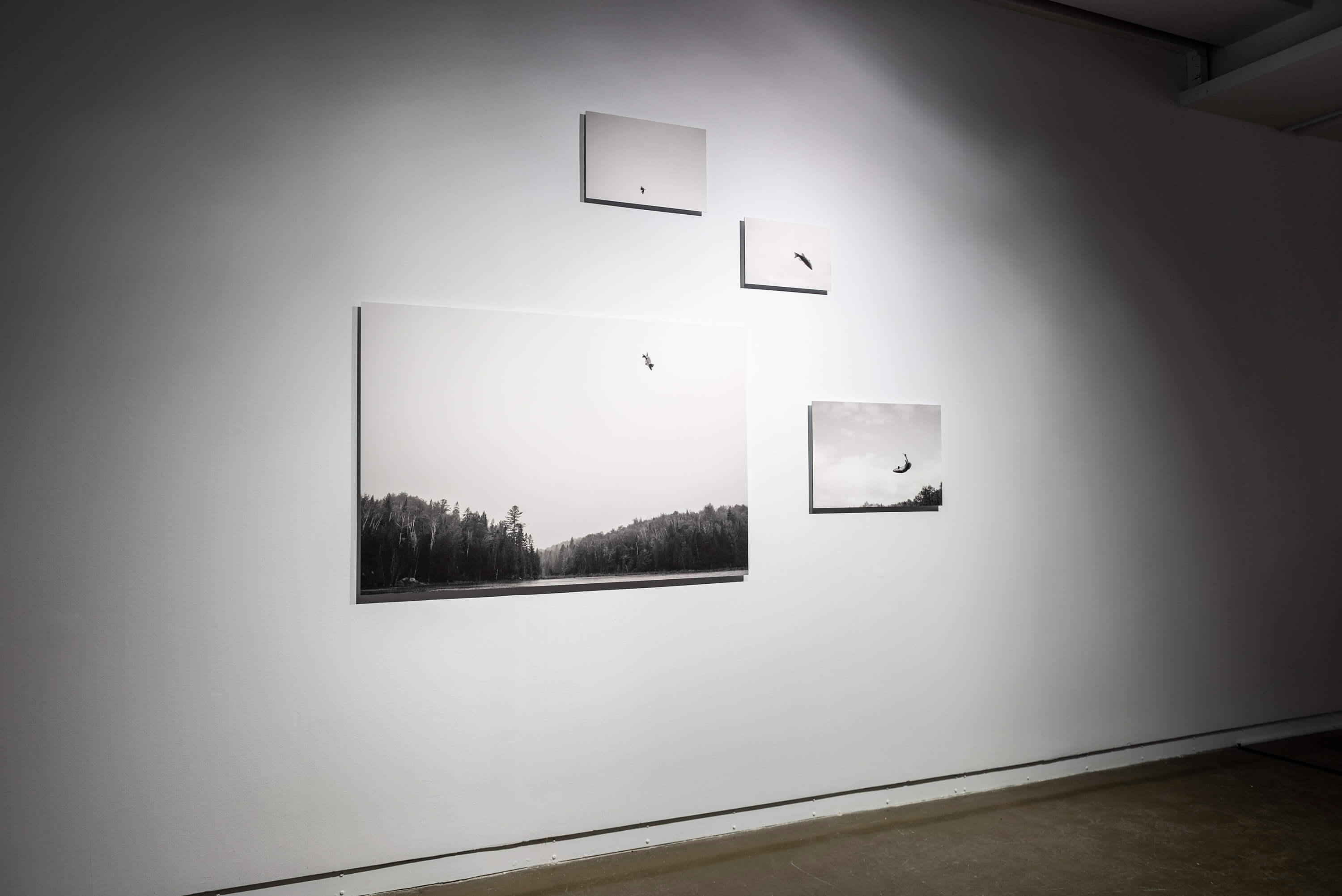 Vue de l'installation. Photo : Amélie Philibert