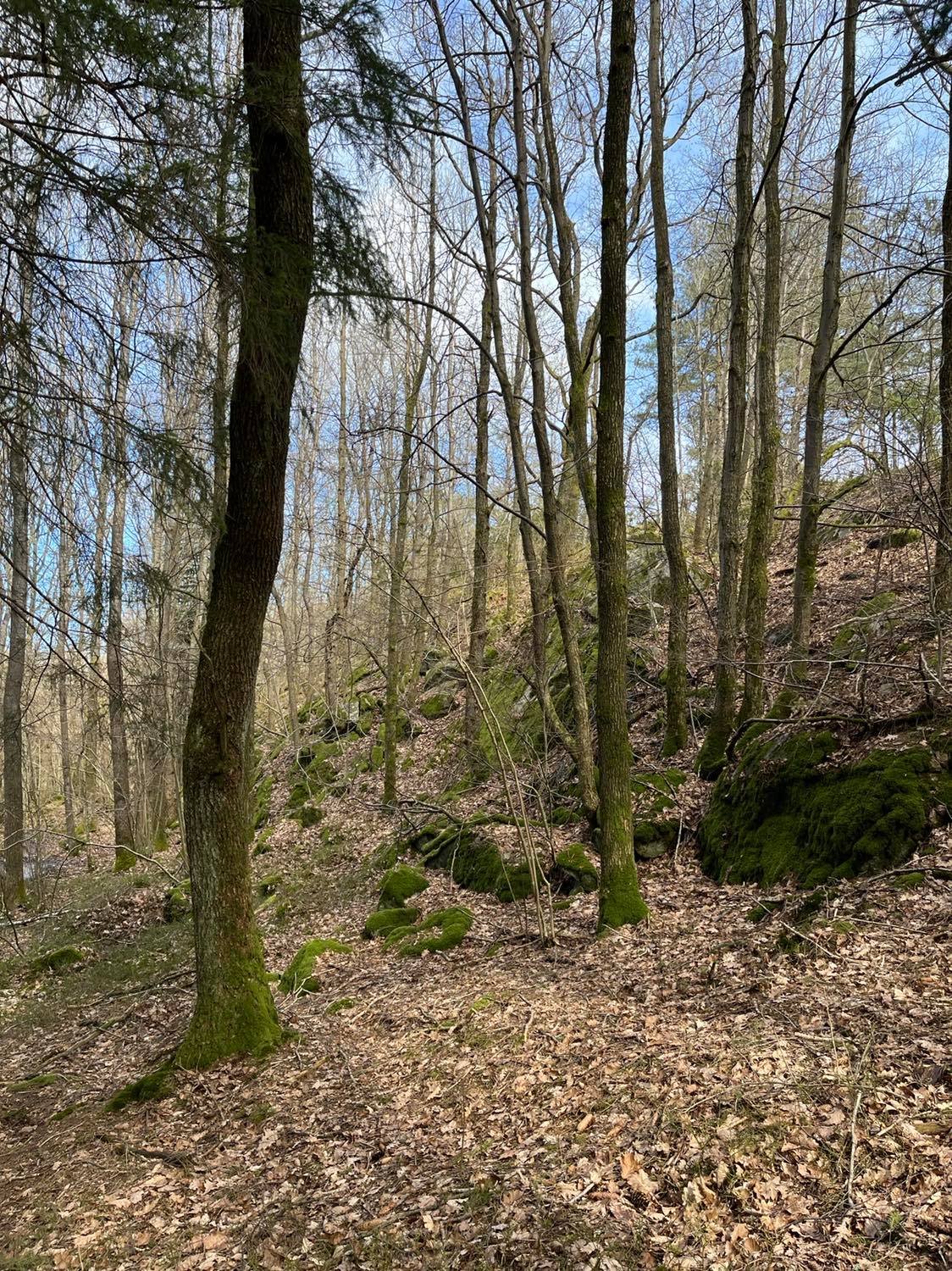 Site