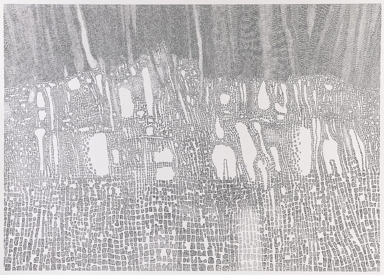 Clement Bagot, Rhizome, 2022, Encre sur papier, 105 x 145 cm, Courtesy de l'artiste