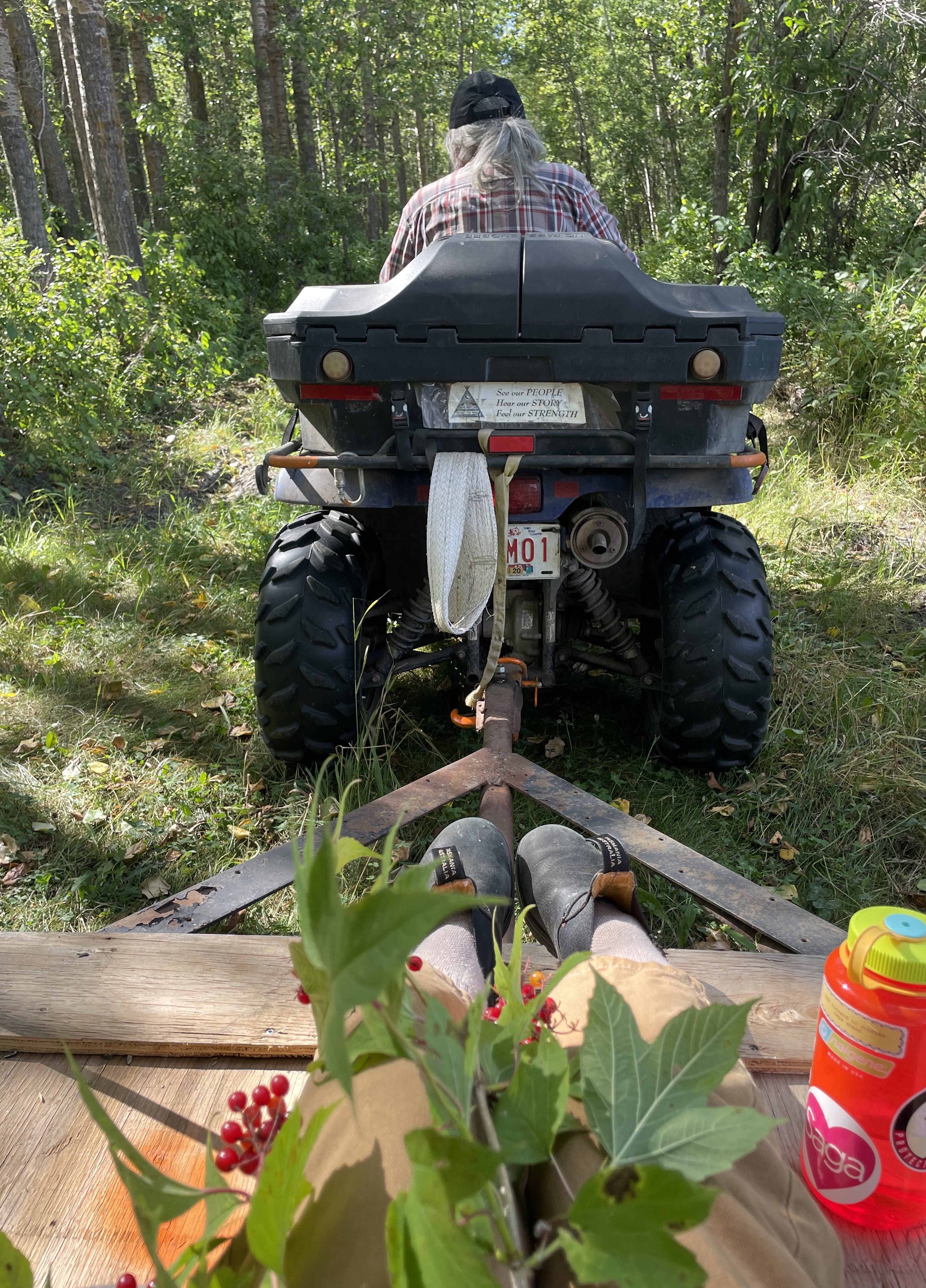 A sunny photo taken of the back of an AT Vehicle. Kiona's Moshom is in the drivers seat of the ATV, we see the back of his head, he is wearing a checkered shirt and a ball cap.  The person taking the photo is sitting on a wooden trailer attached to the back of the ATV. There is cranberry branches in the lap of the person taking the picture.