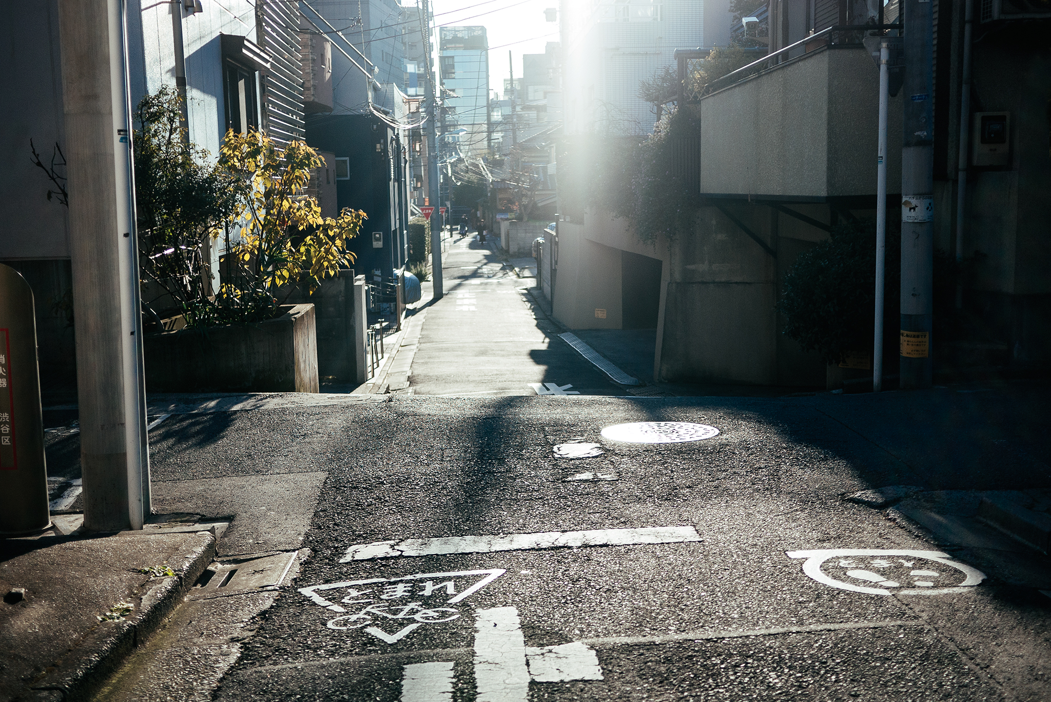 Rapha Rides Tokyo: Groovisions — Lee Basford