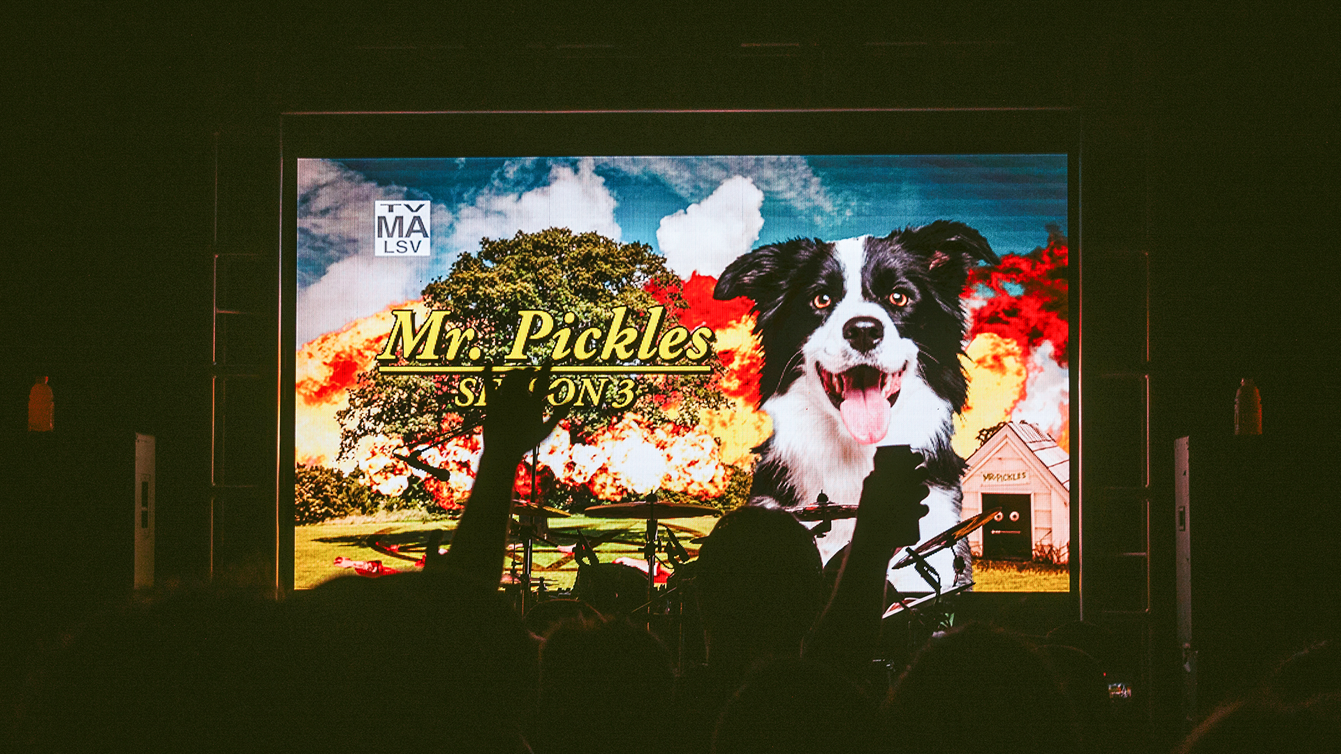 Mr. Pickles Dog House Tour - Stuart Golley