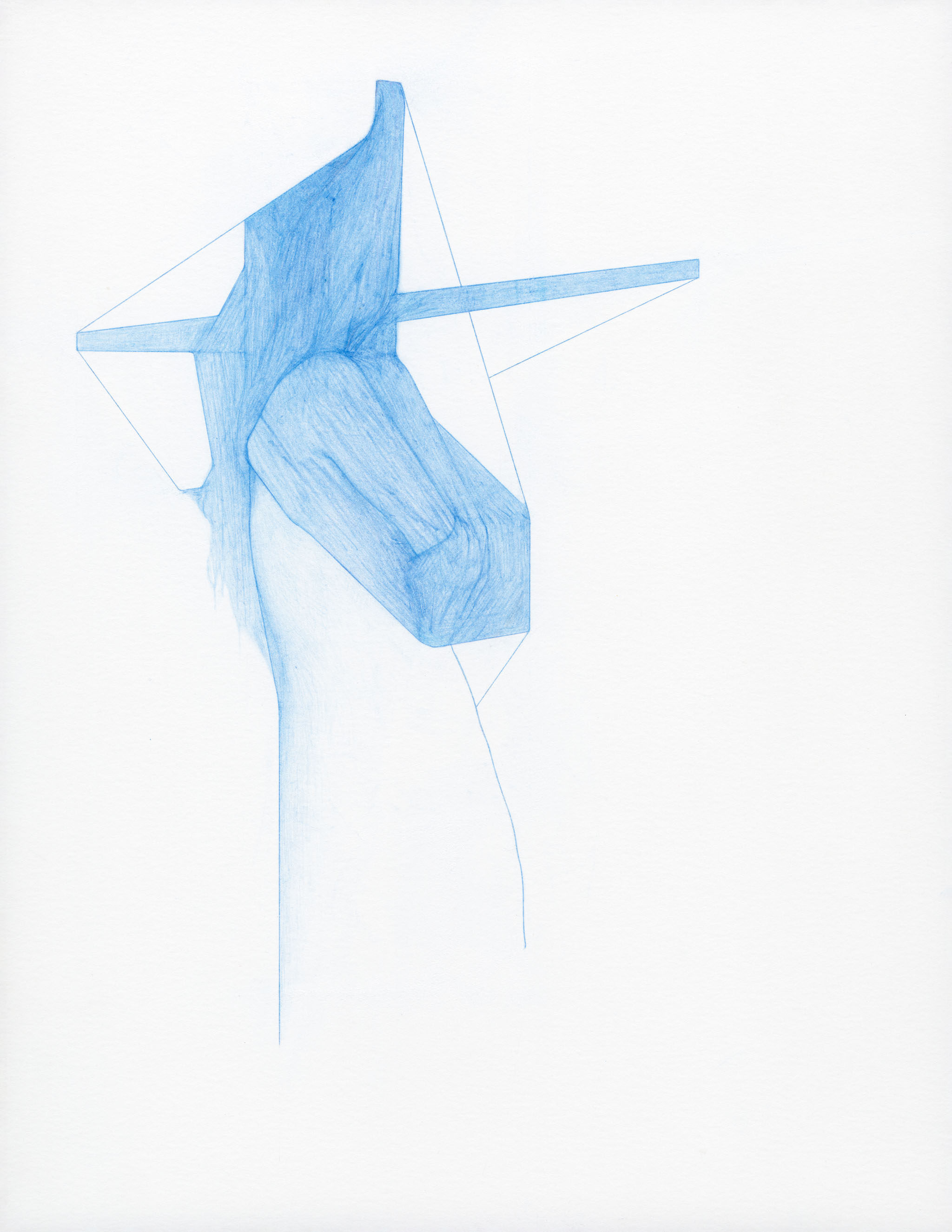 fluffed 11x8.5 colored pencil on paper 2016