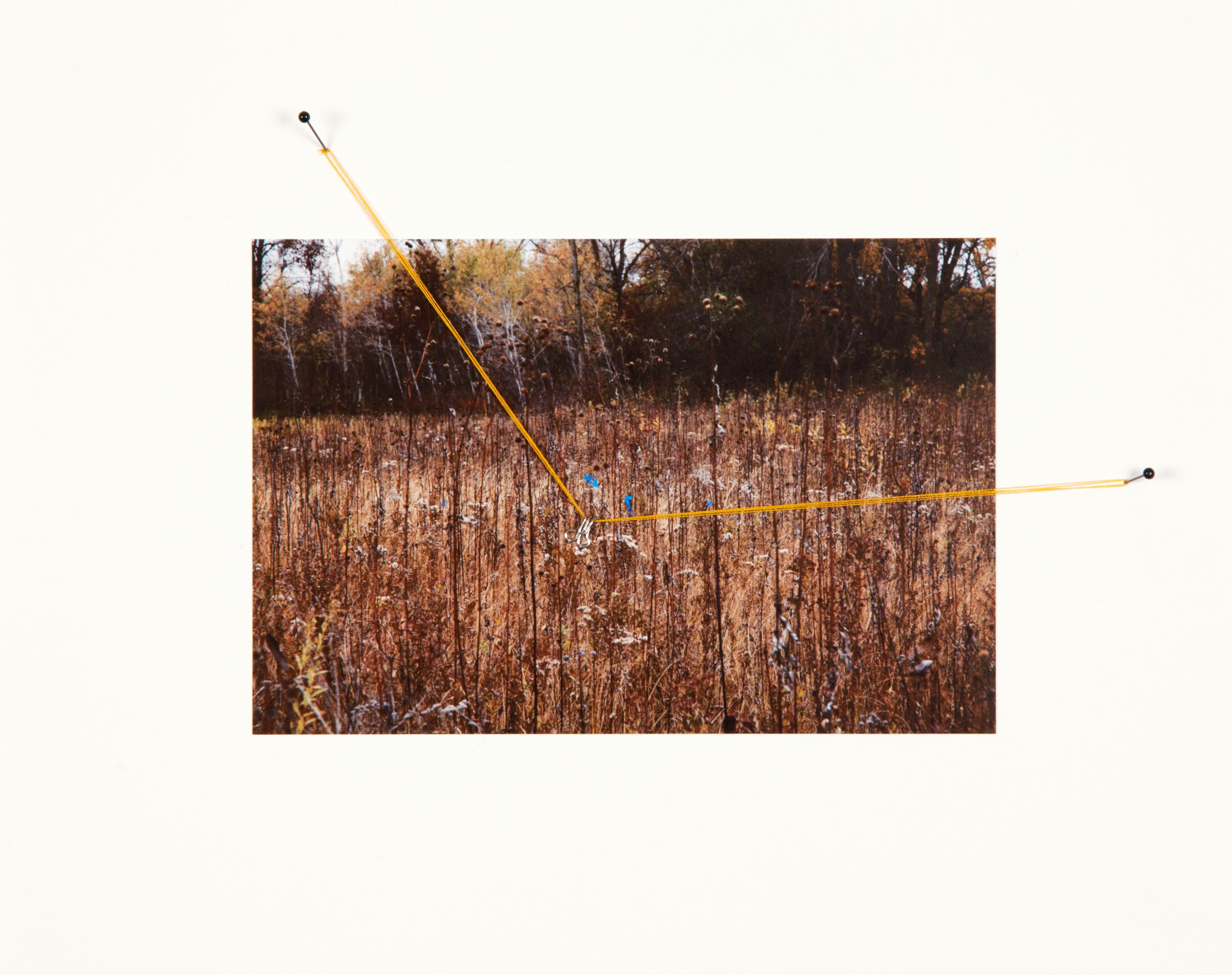 Field Edging #8, Lake Forest, IL, 2012.