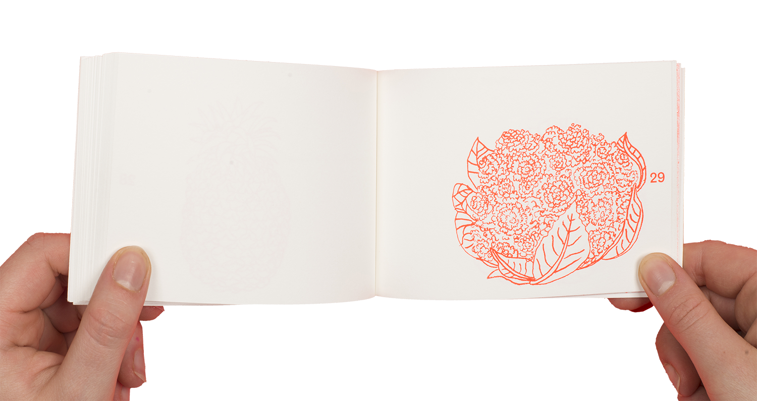 Cauliflower illustration - Anna Felice