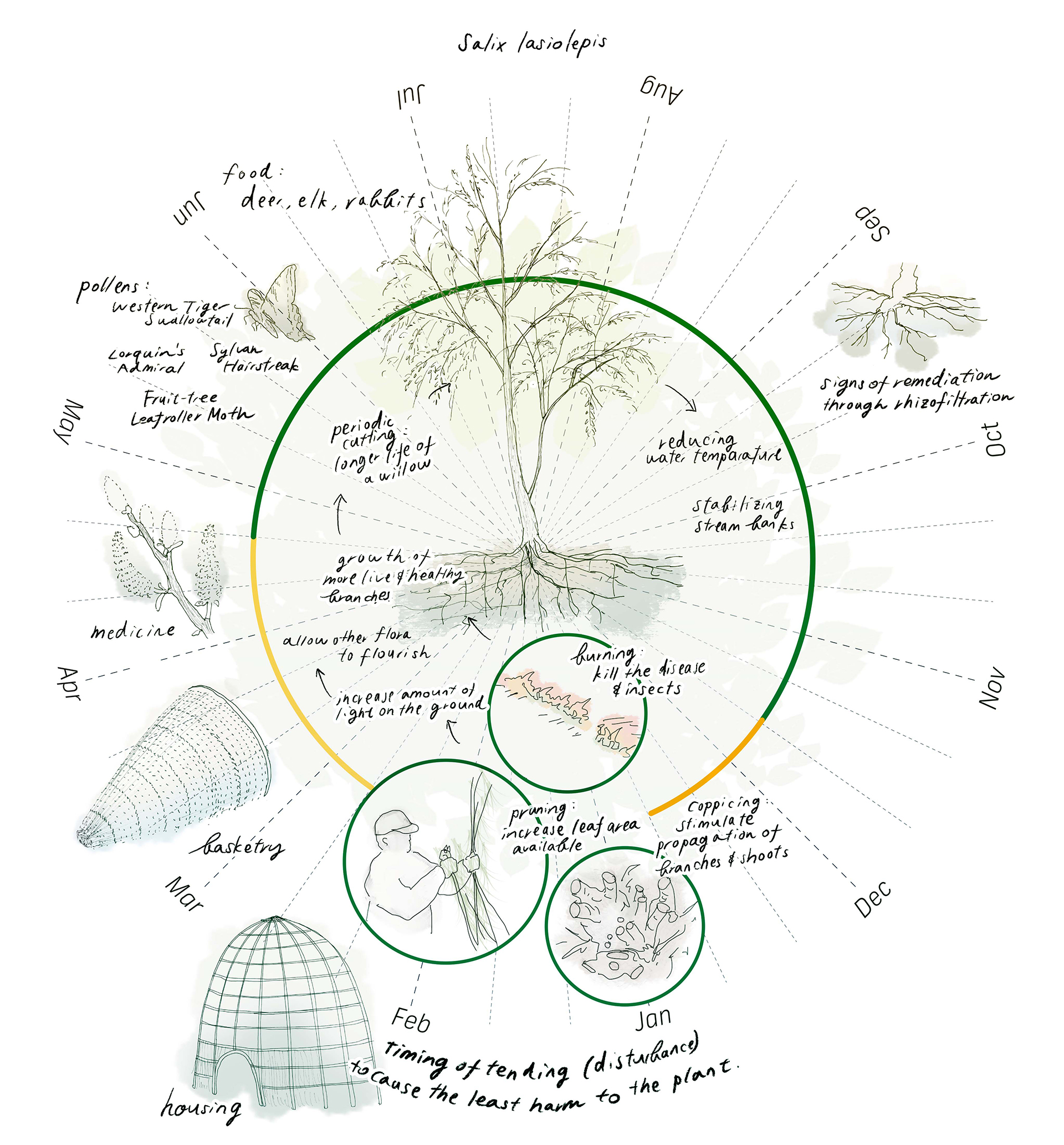 My Livable City: Indigenous Land and Preservation — SALT Landscape ...