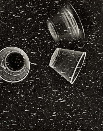 Fruition 4048 Silver Gelatin Photogram 14 x 11, 2002