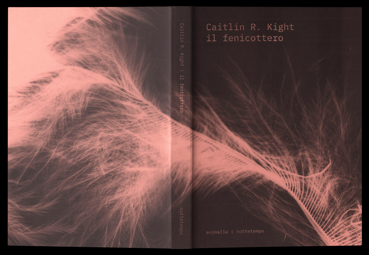 Giacomo Agnello Modica, cover design for Animalia book series (Nottetempo), 2019