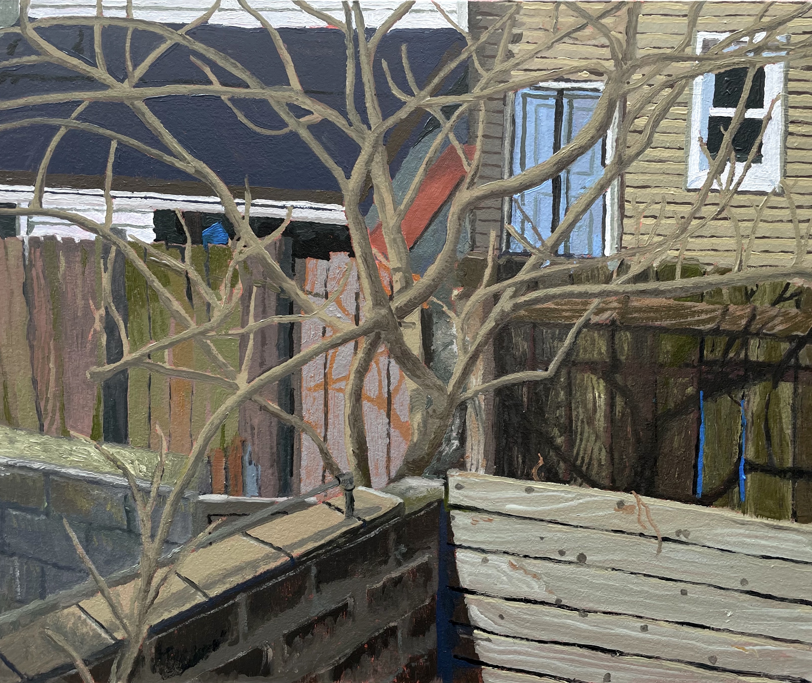 Mimosa Tree in Alley, Early Spring. Oil on canvas, 18" x 14"