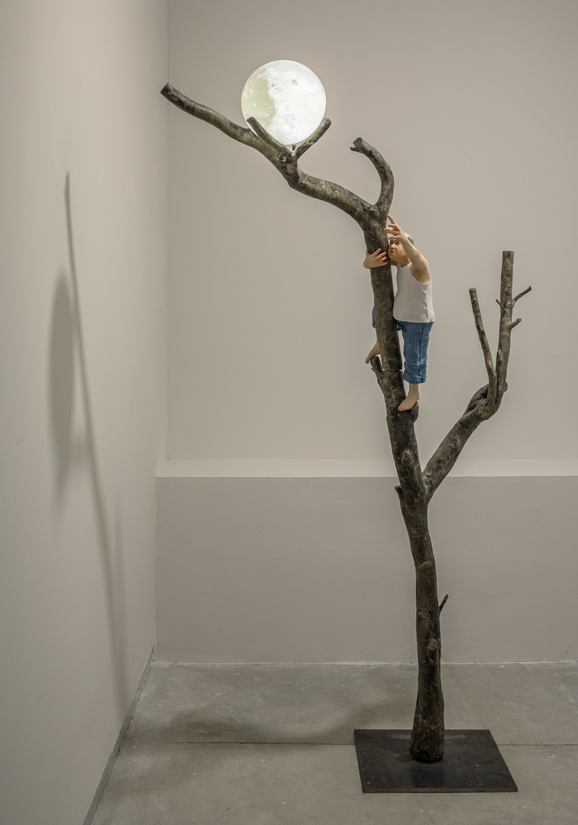 160x50x30 cm