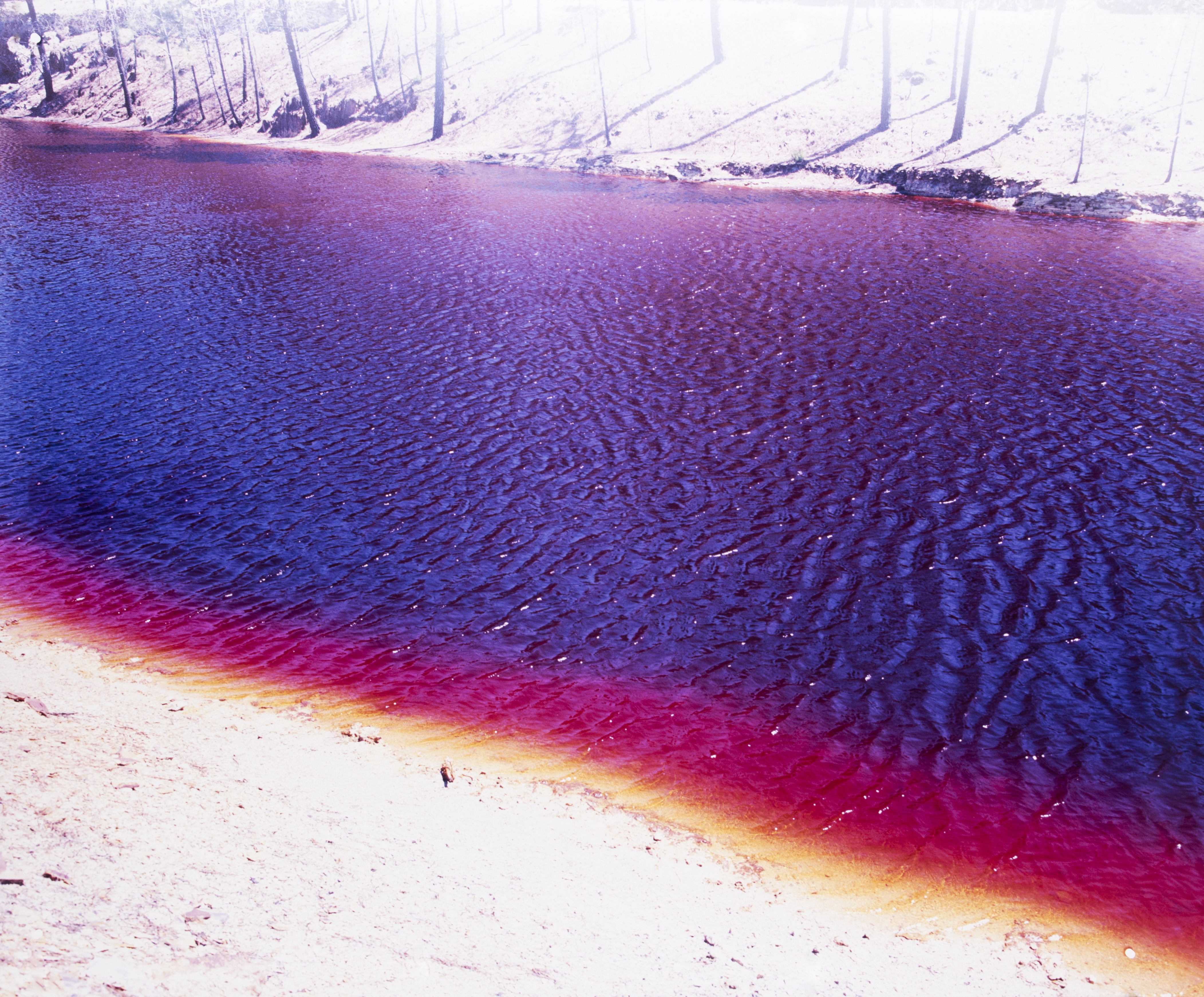 @journaldutraindespignes, 2021,  Instagram journal